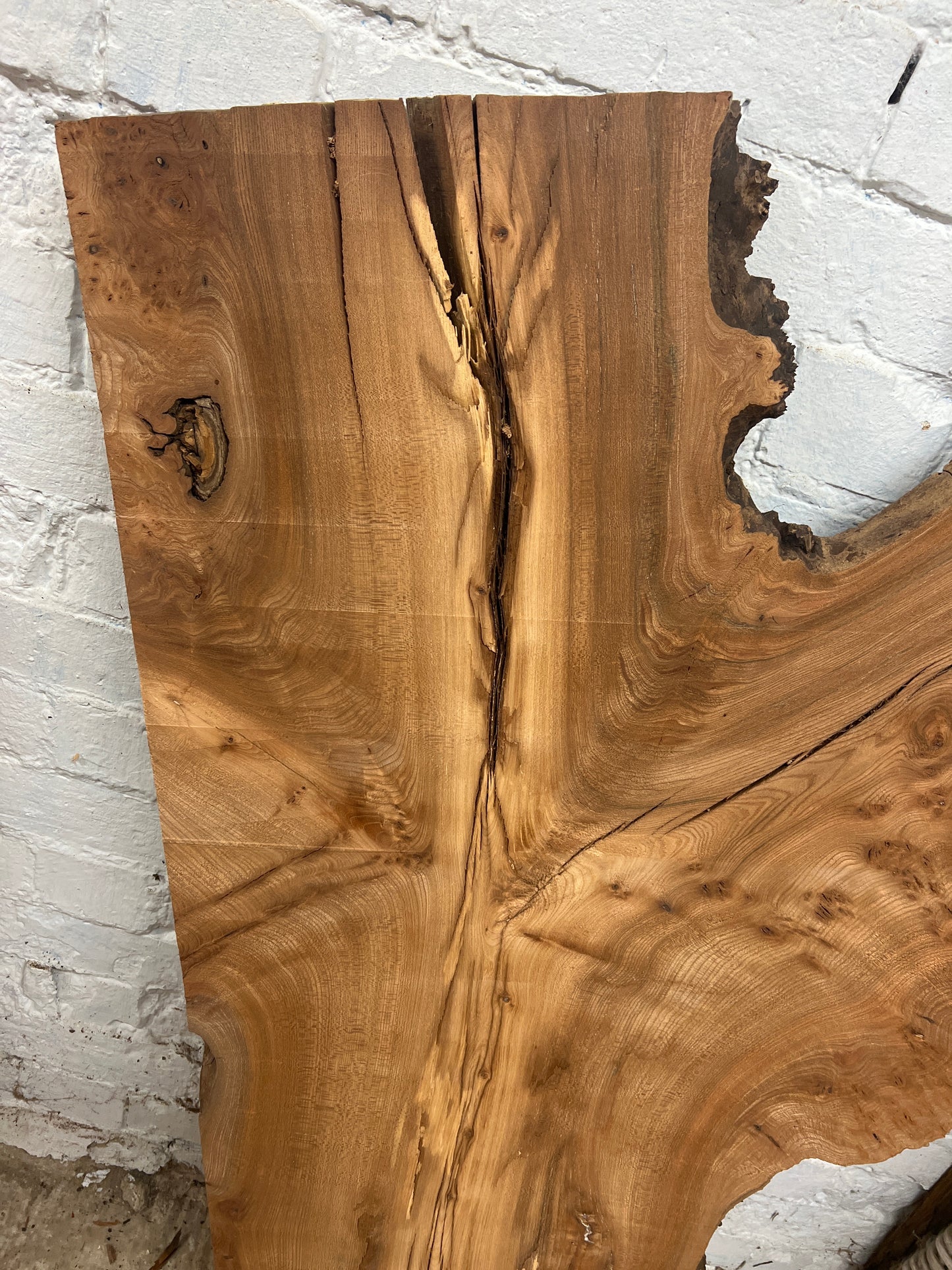 Burr Elm No 148 - 1280x340-770x40mm Planed