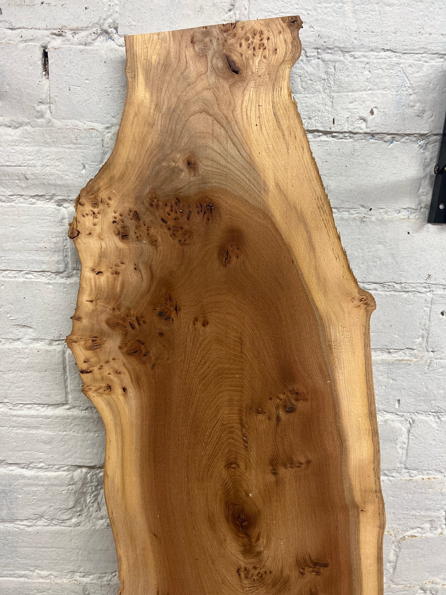 Burr Elm No 228 - 1560x160-310x25mm Planed