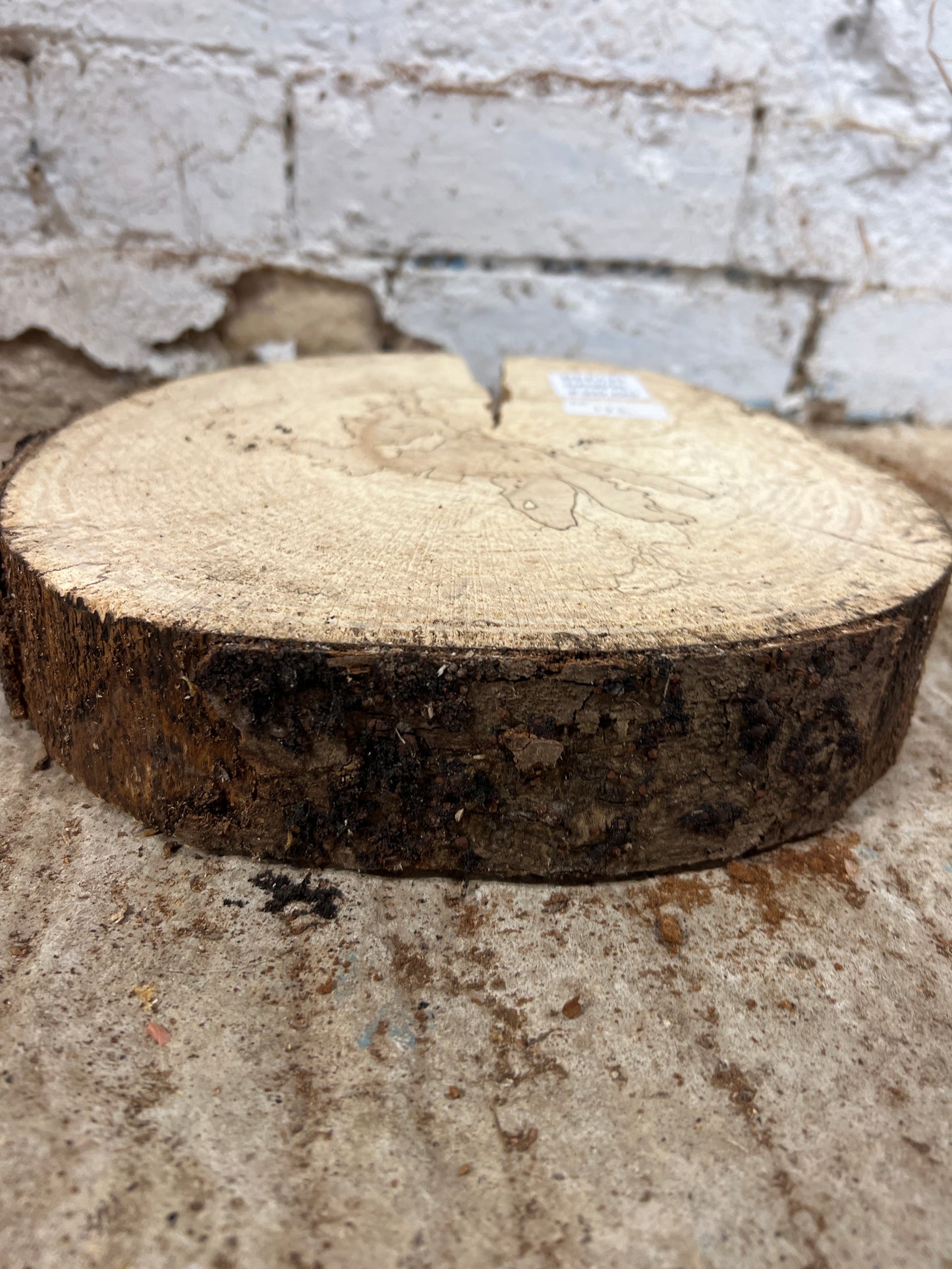 Spalted Beech No 172 - 270x280x55mm Sawn
