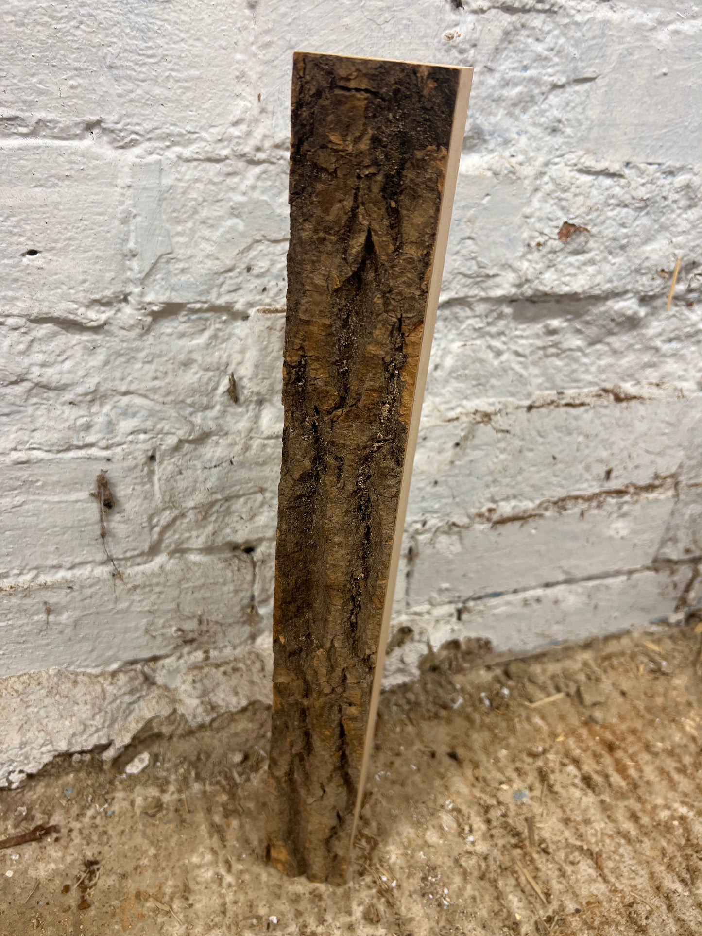 Ash No 33 - 450x80-90x54mm Planed