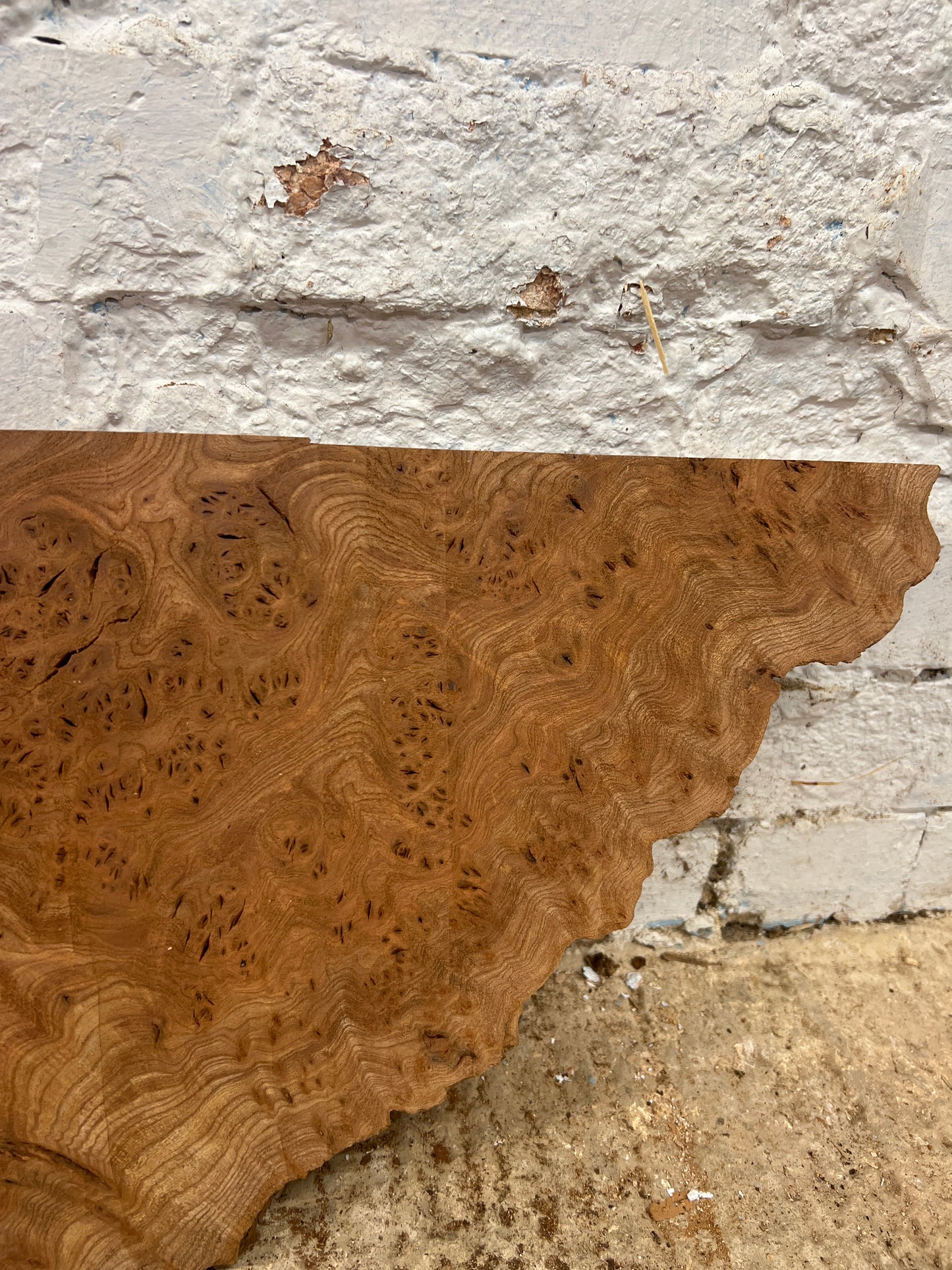 Burr Elm No 218 - 300x410-520x40mm Planed
