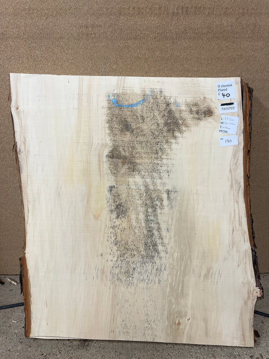Horse Chestnut No 130 - 592x520-550x46mm Planed