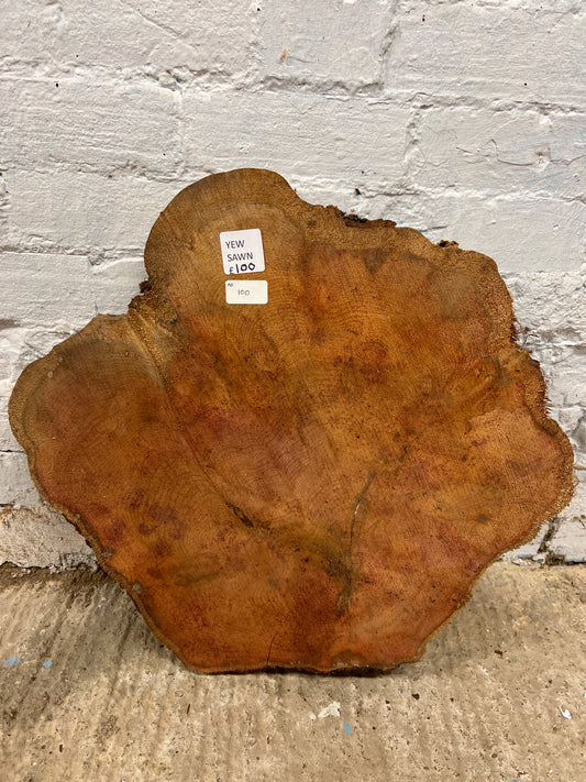 Yew No 100 - 540x500x55mm Sawn