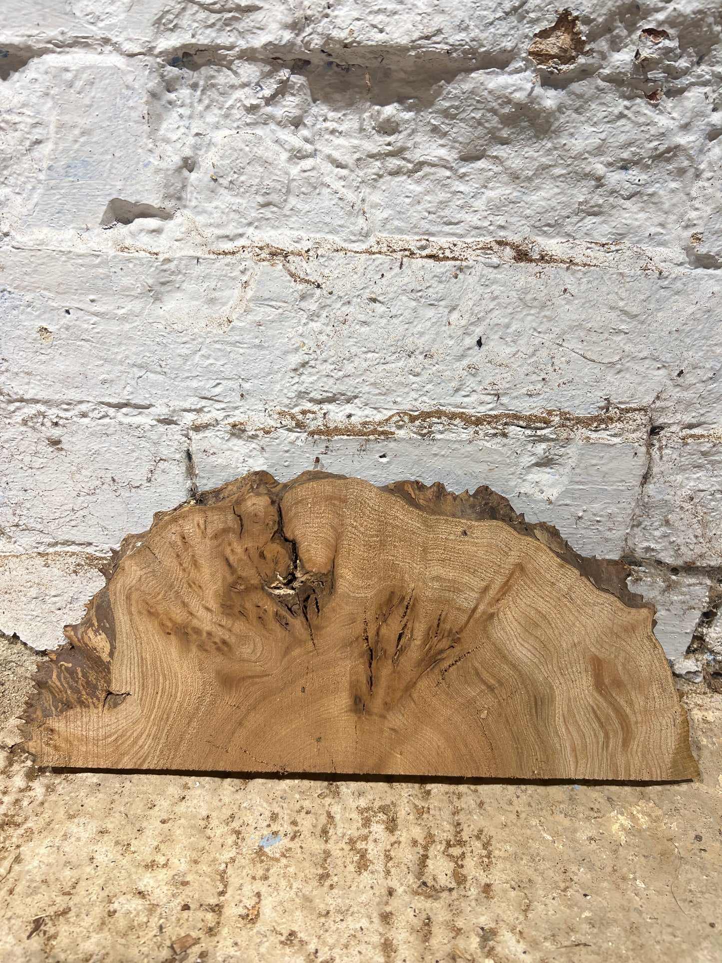 Burr Elm No 202 - 340x140x25mm Sawn