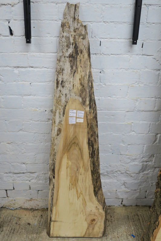 Elm No 15 - 1396x160-400x33mm Planed