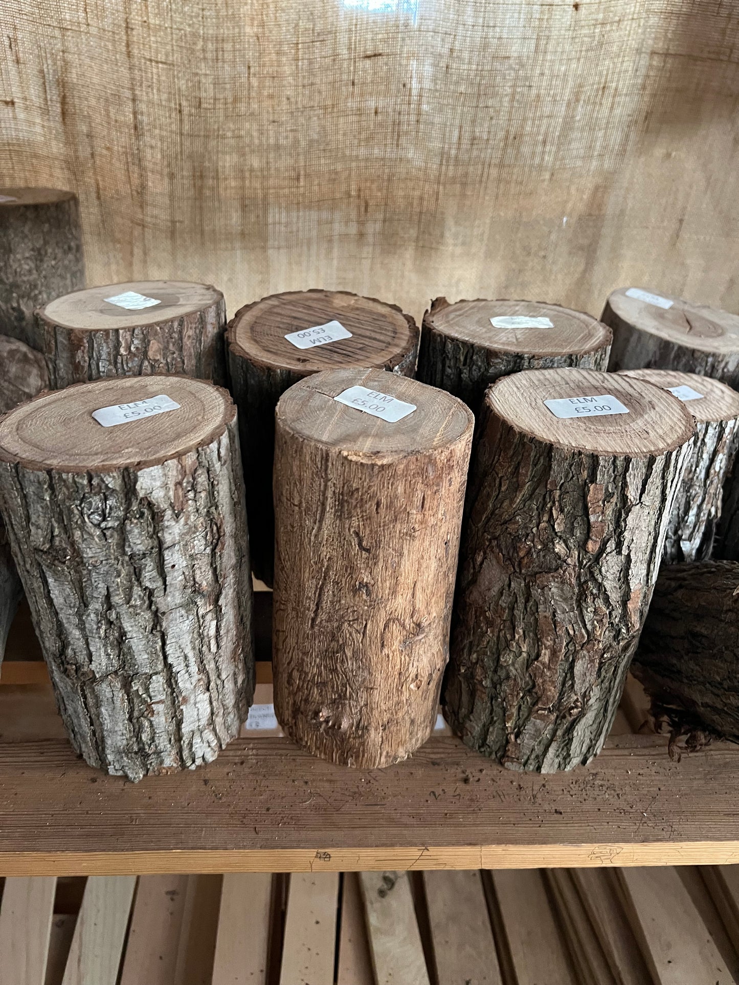 Elm + Ash Stumps - Sawn