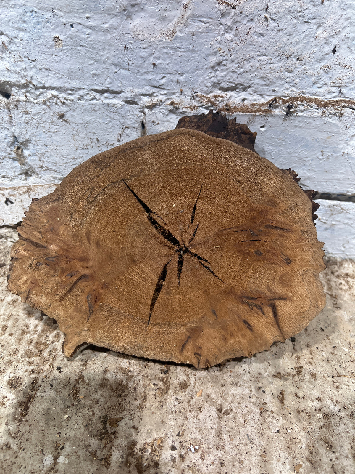 Elm No 196 - 230x180x40mm Sawn