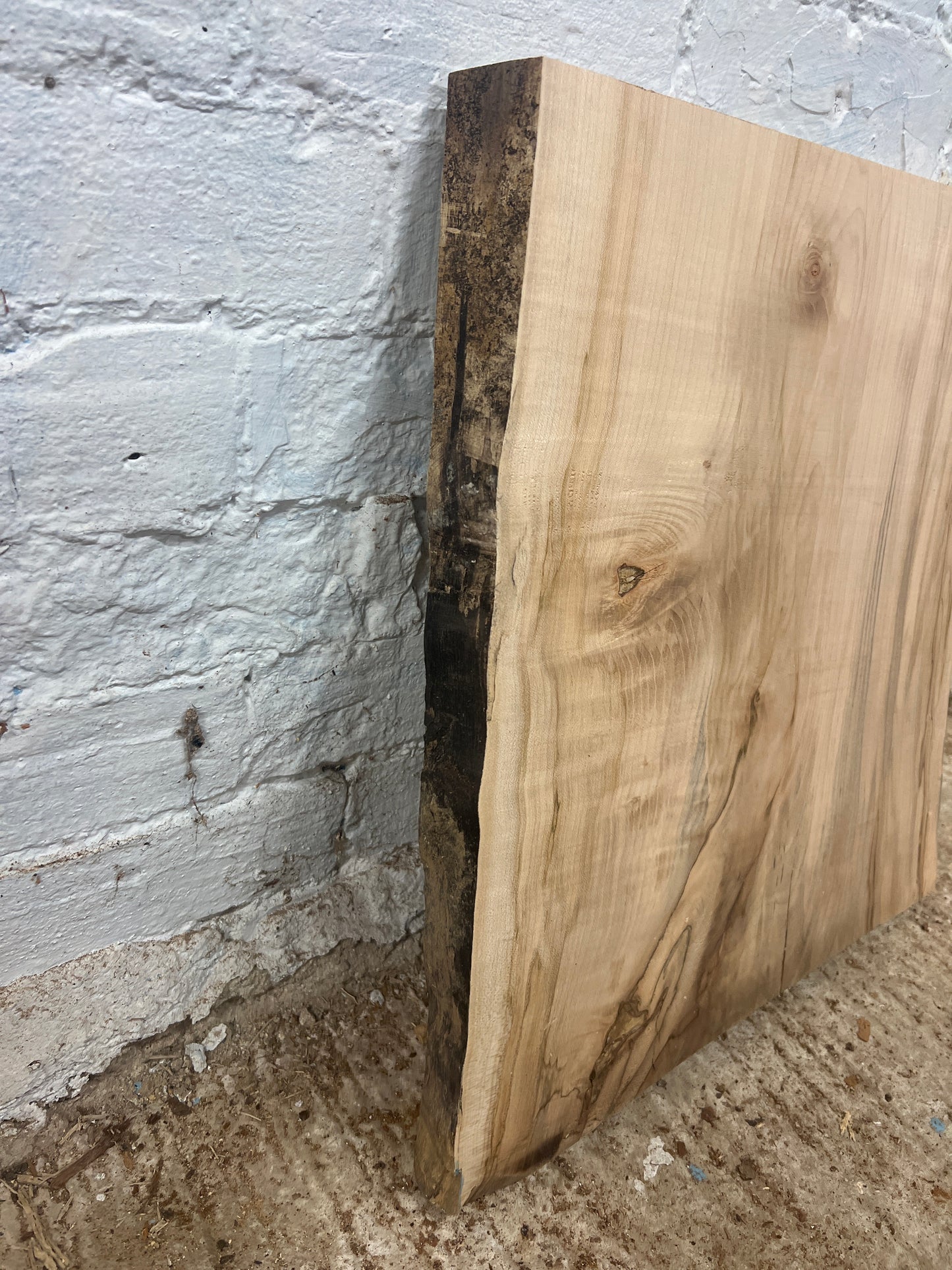 Beech No 212 - 485x420-480x42mm Planed