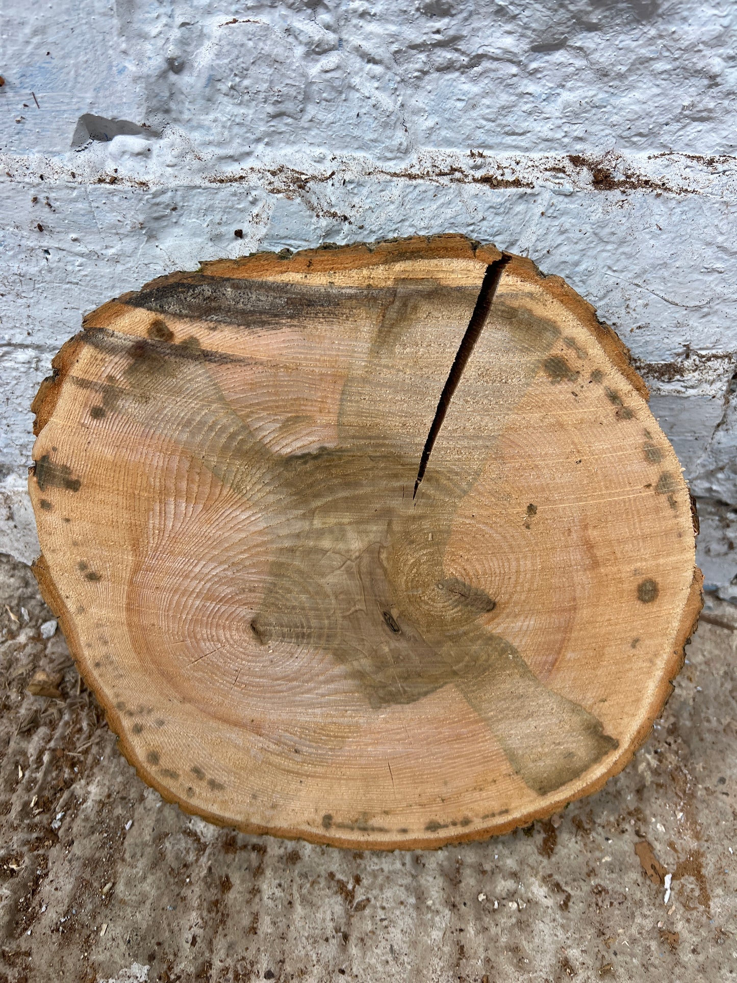 Ash No 142 - 250x250x40mm Sawn