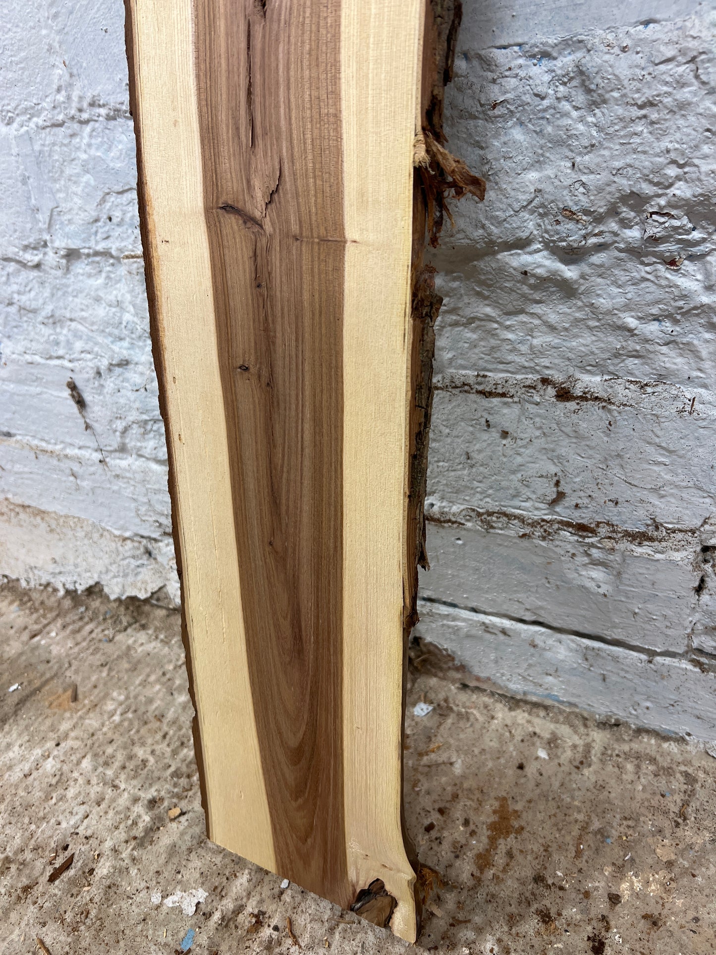 Elm No 23 - 572x140-150x24mm Planed