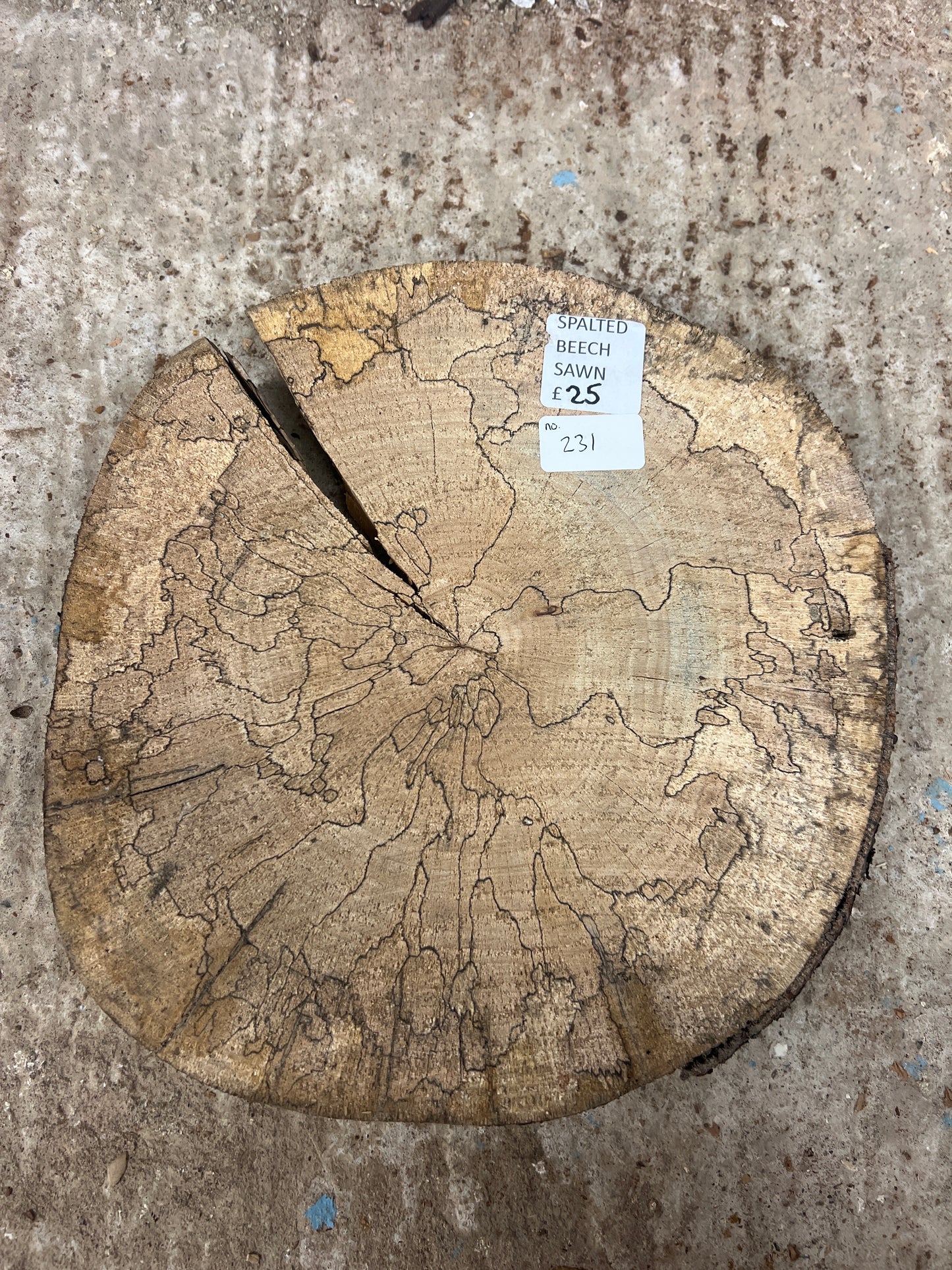 Spalted Beech Round No 232 - 290x300x50mm Sawn