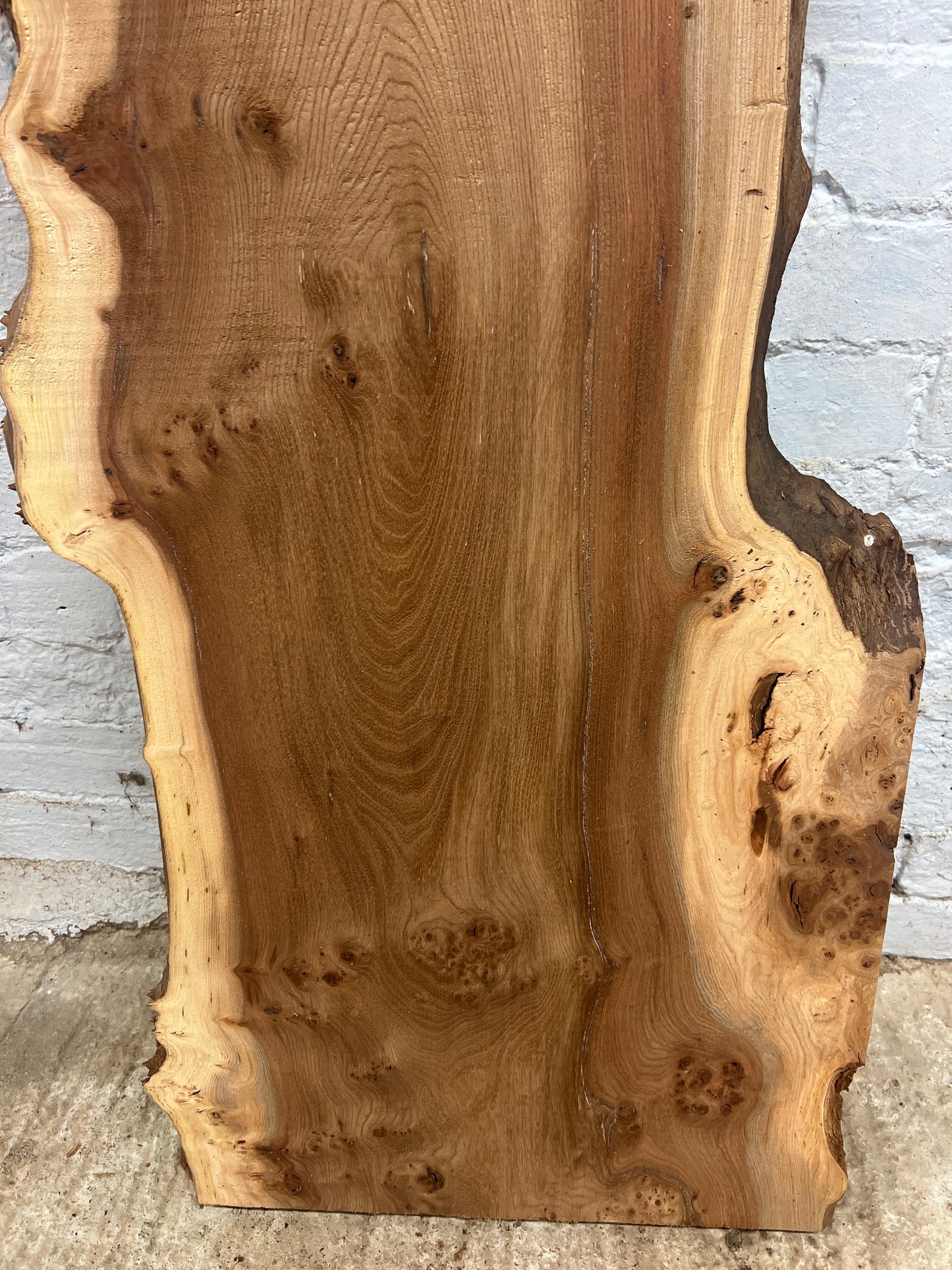 Burr Elm No 227 - 1305x310-480x43mm Planed