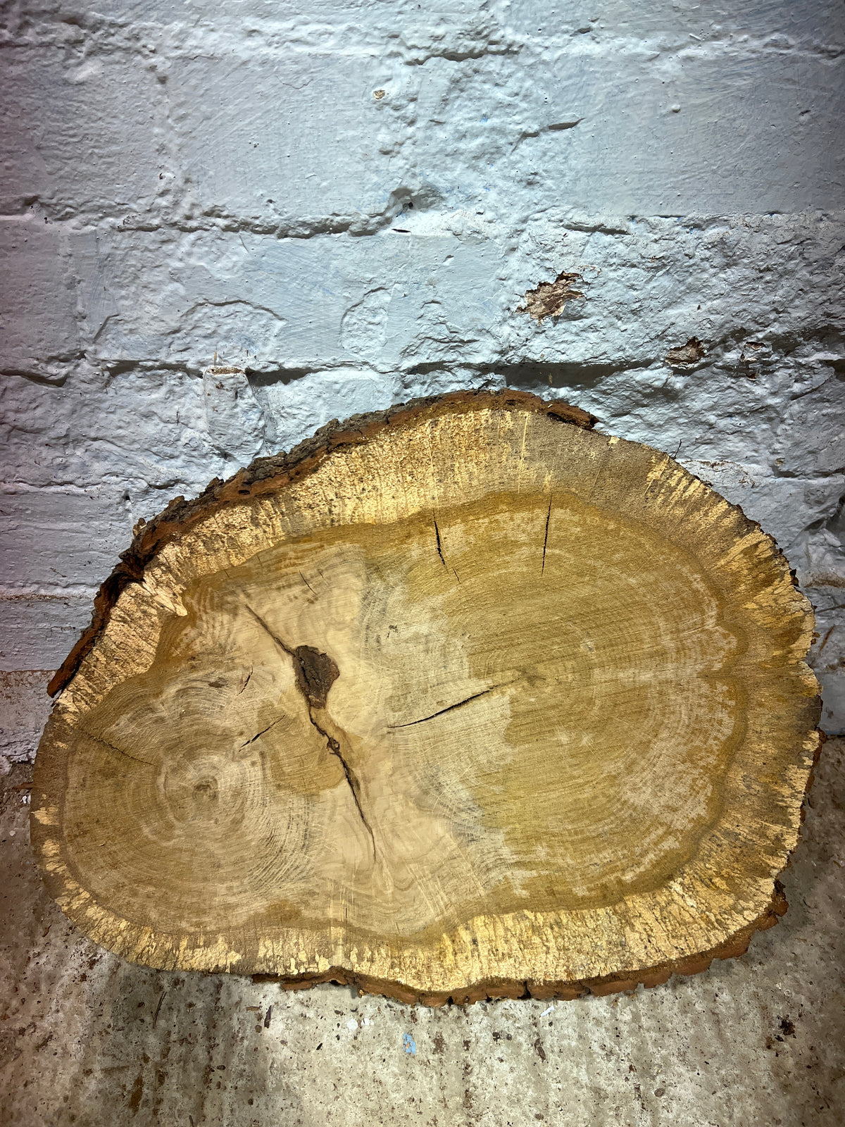 Oak No 198 - 350x440x60mm Sawn