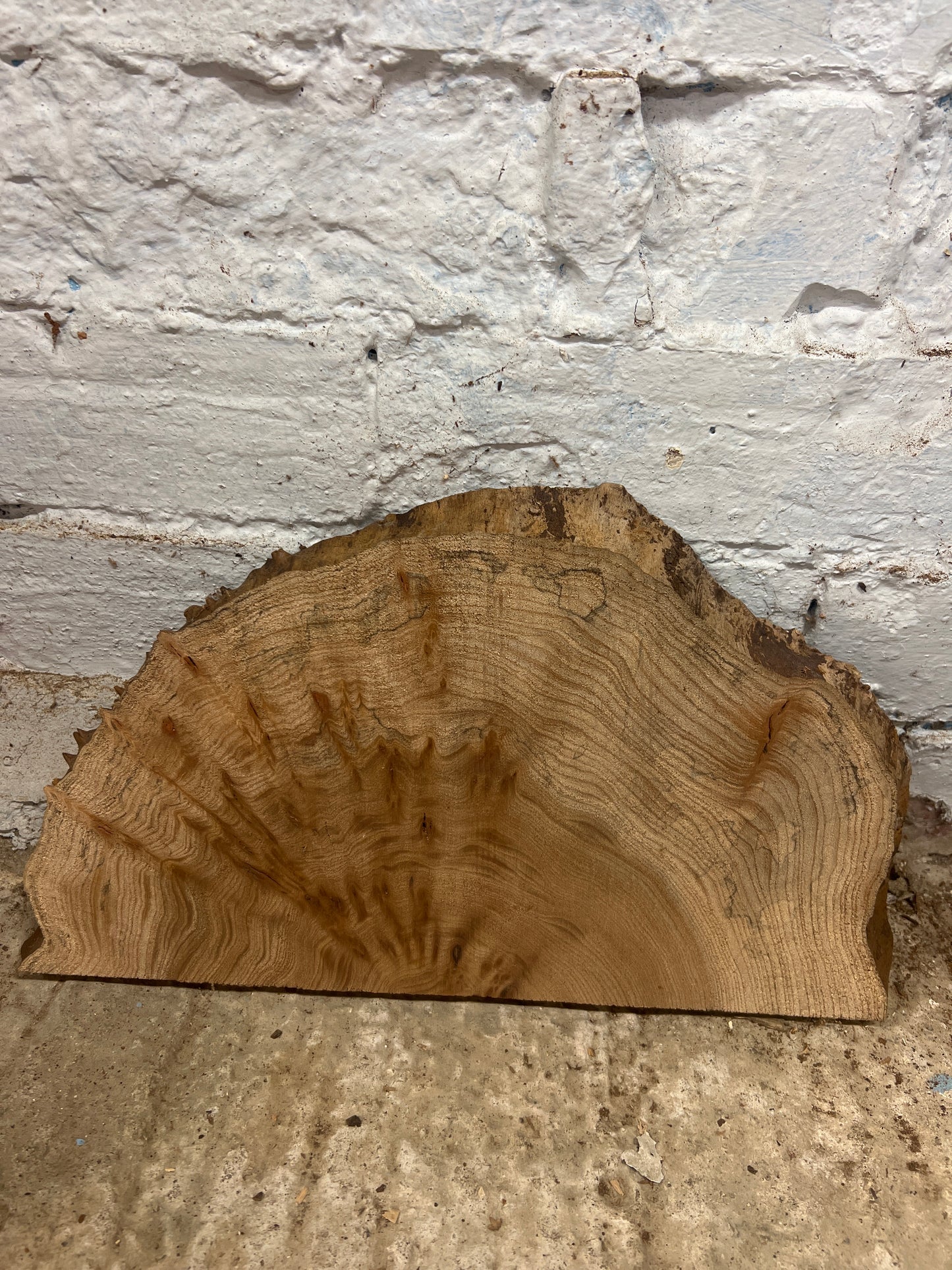 Burr Elm No 228 - 200x350x25mm Sawn