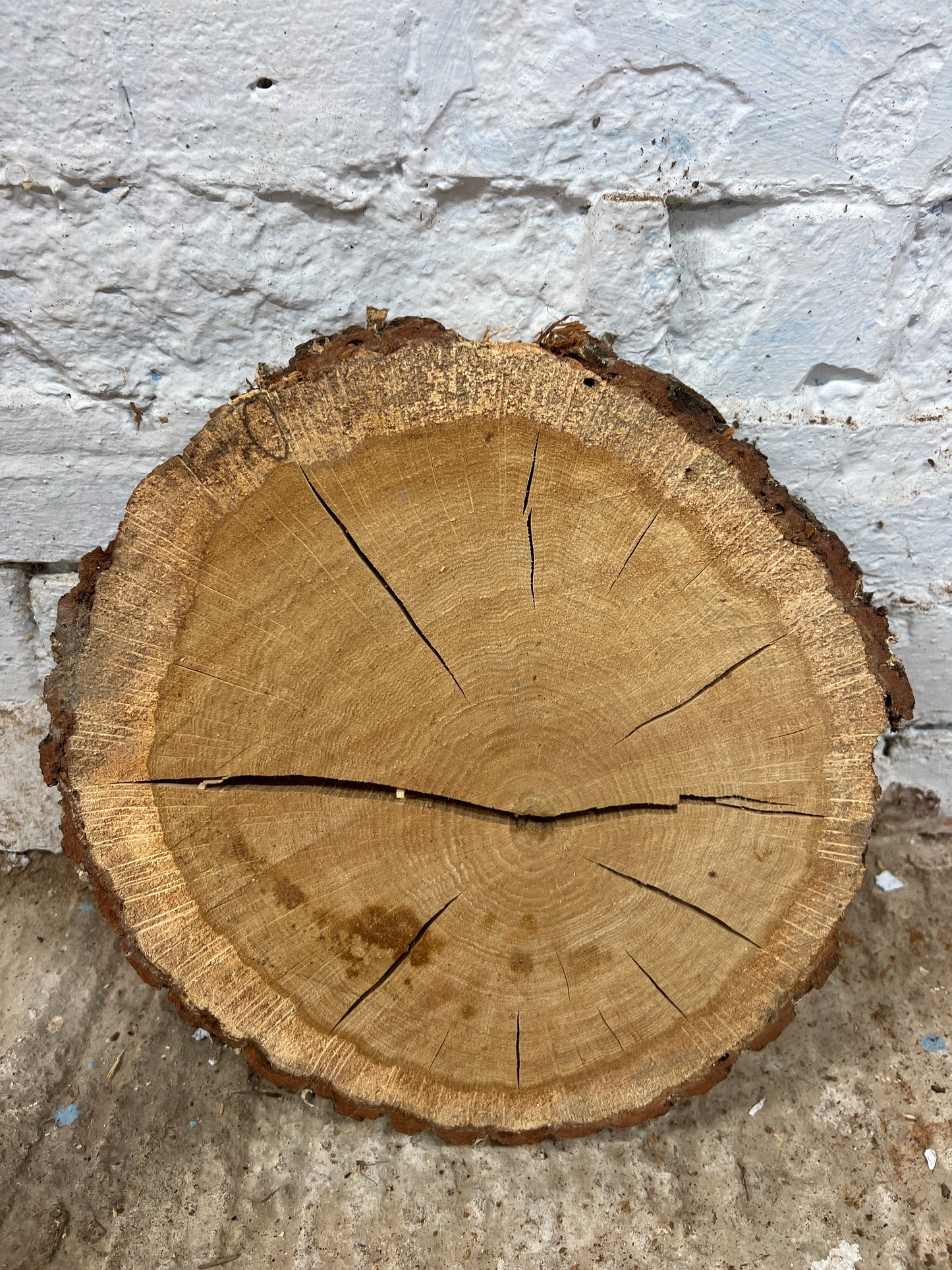 Oak No 199 - 290x300x50mm Sawn