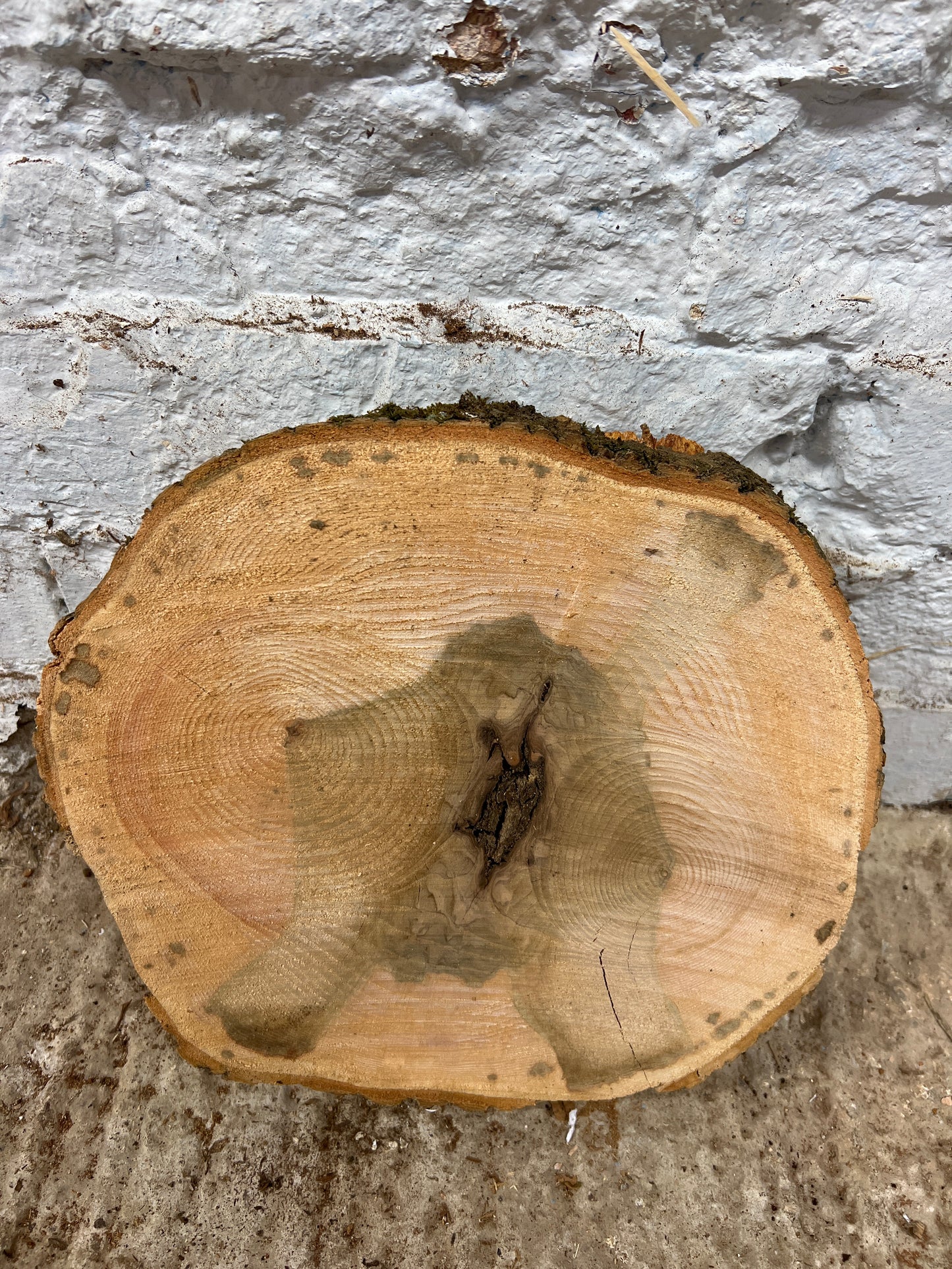 Ash No 144 - 280x250x45mm Sawn