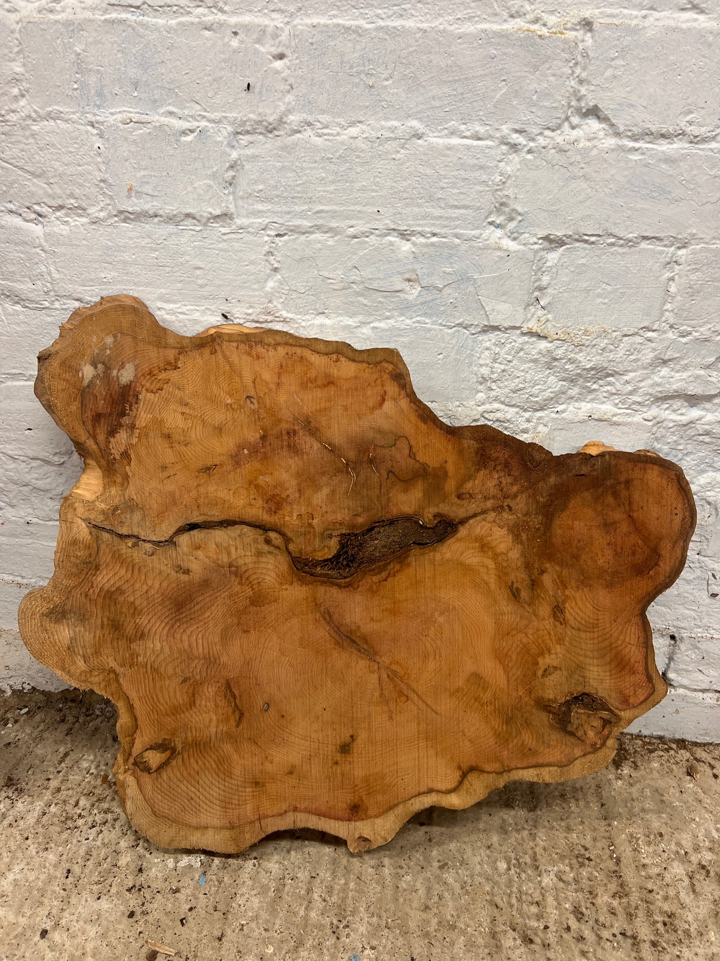 Yew No 110 - 500x640x40mm Sawn