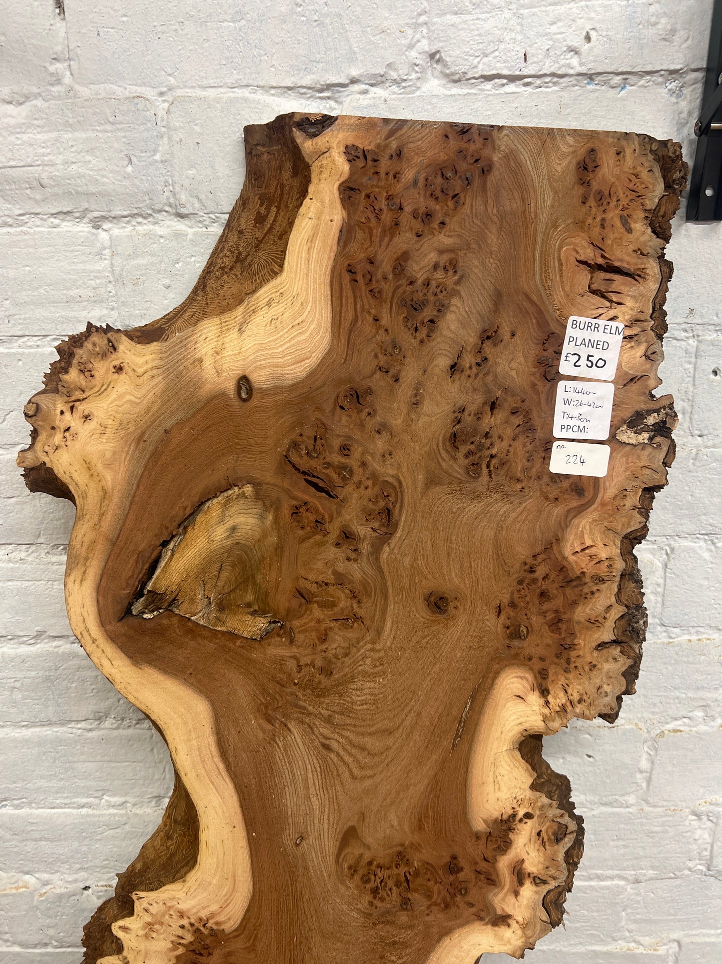 Burr Elm No 224 - 1440x260-420x43mm Planed