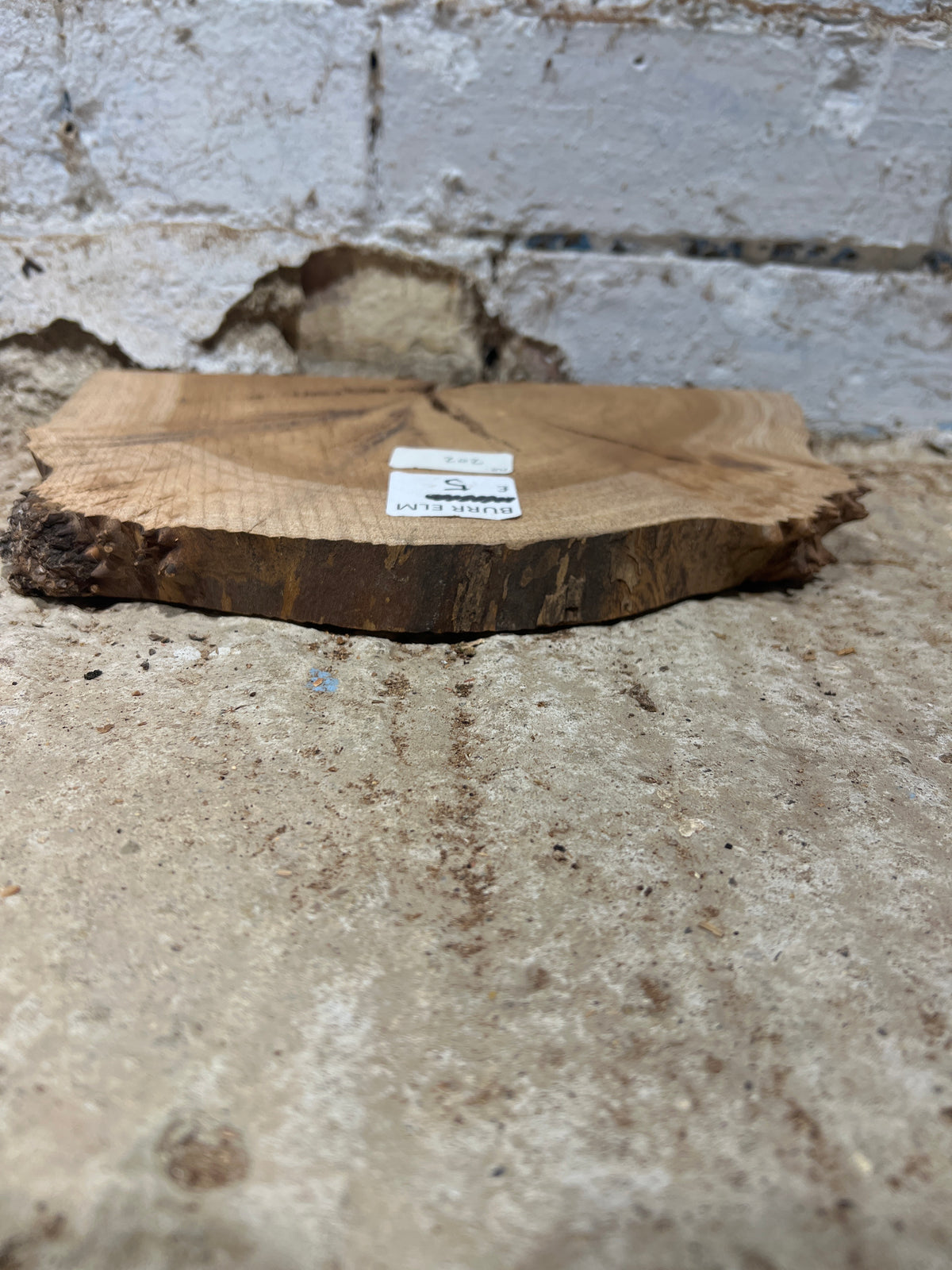 Burr Elm No 202 - 300x180x25mm Sawn