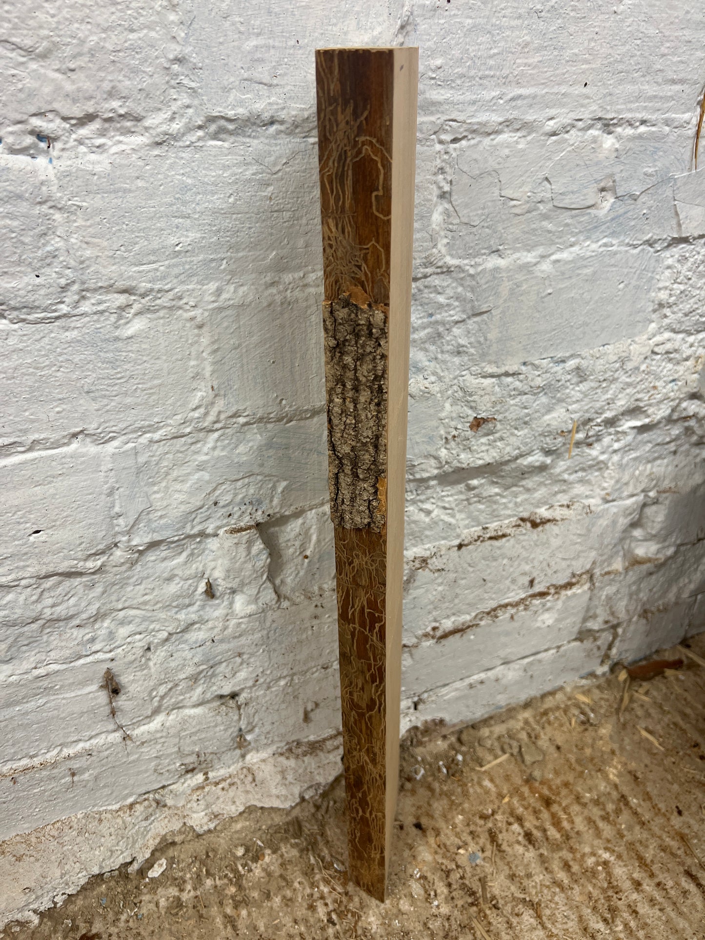 Ash No 128 - 610x105x33mm Planed