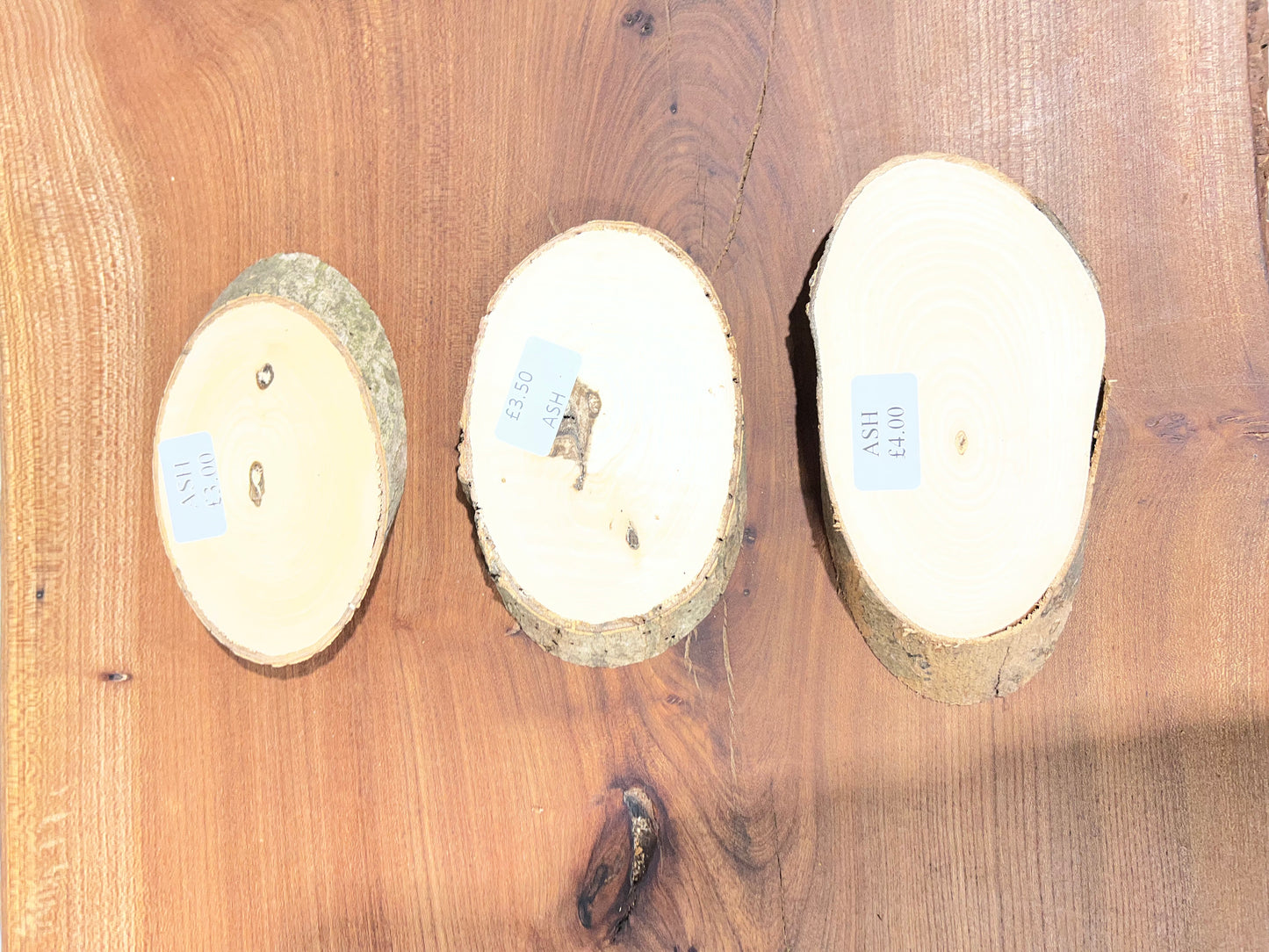 Slanted Ash Rounds - Sawn