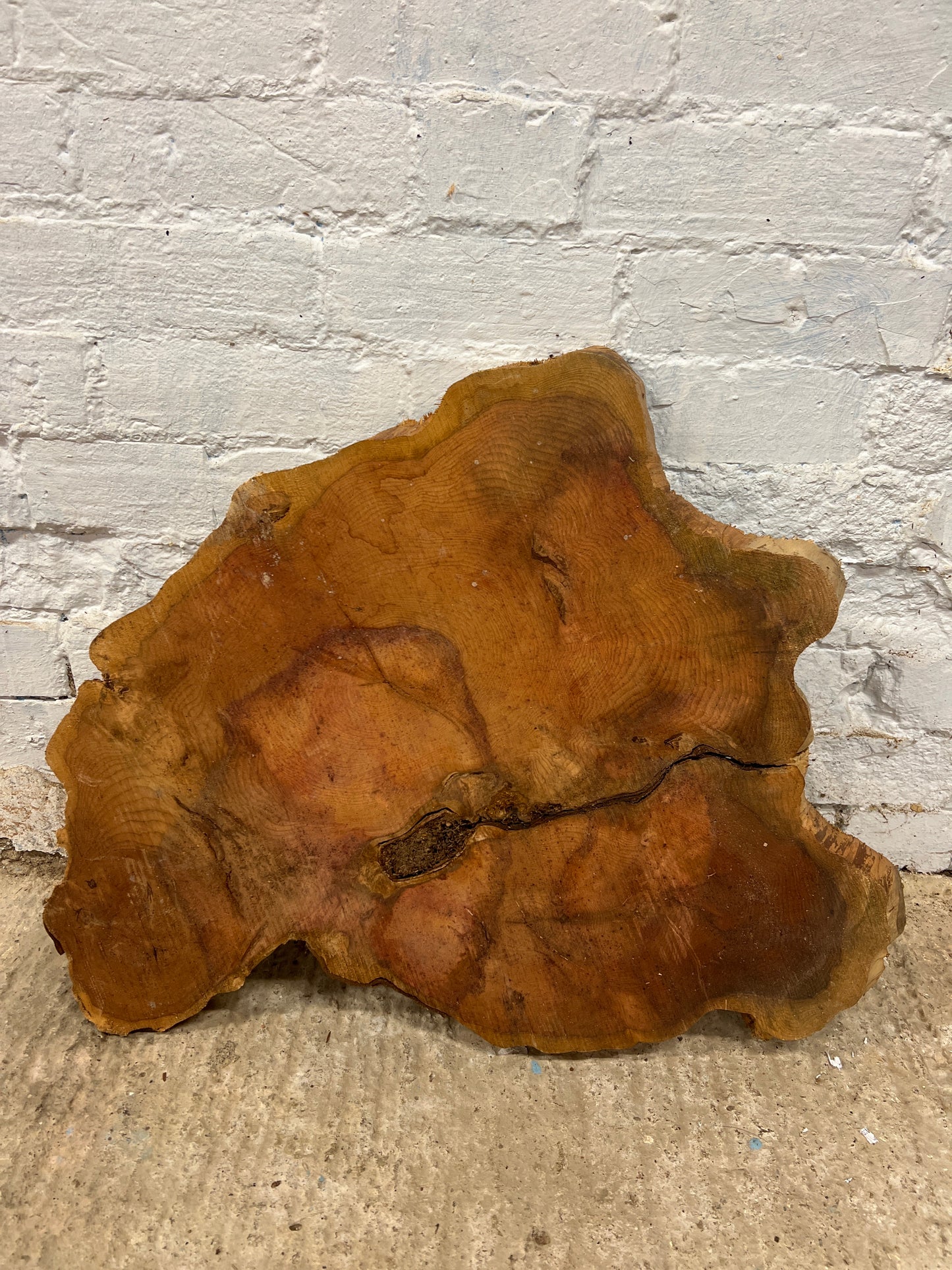 Yew No 95 - 640x530x43mm Sawn