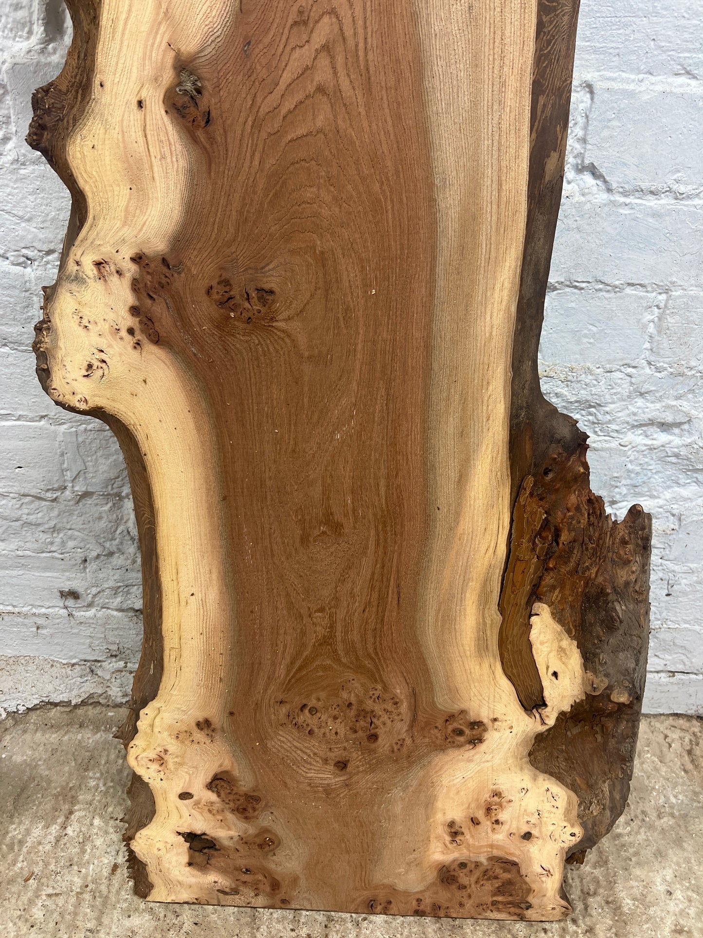 Burr Elm No 226 - 1310x270-490x40mm Planed