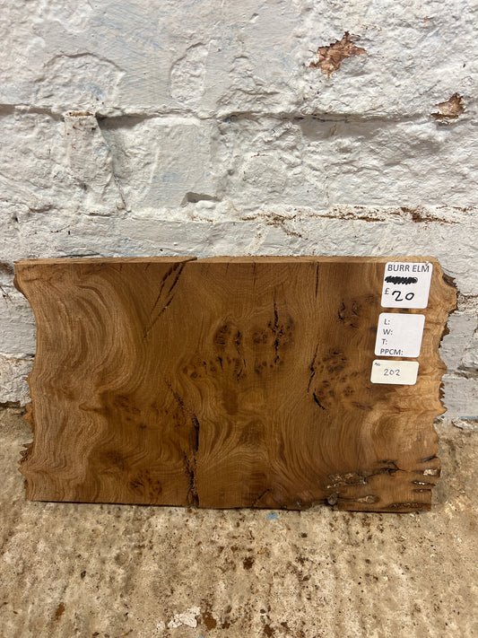 Burr Elm No 202 - 230x340x30mm Sawn