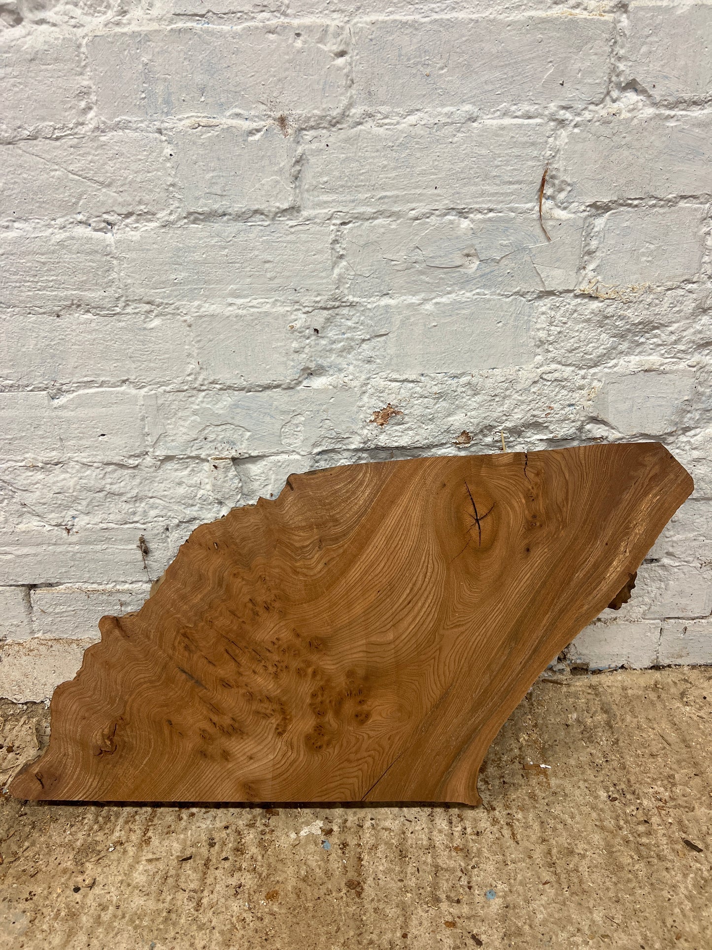 Burr Elm No 220- 350x400-520x40mm Planed