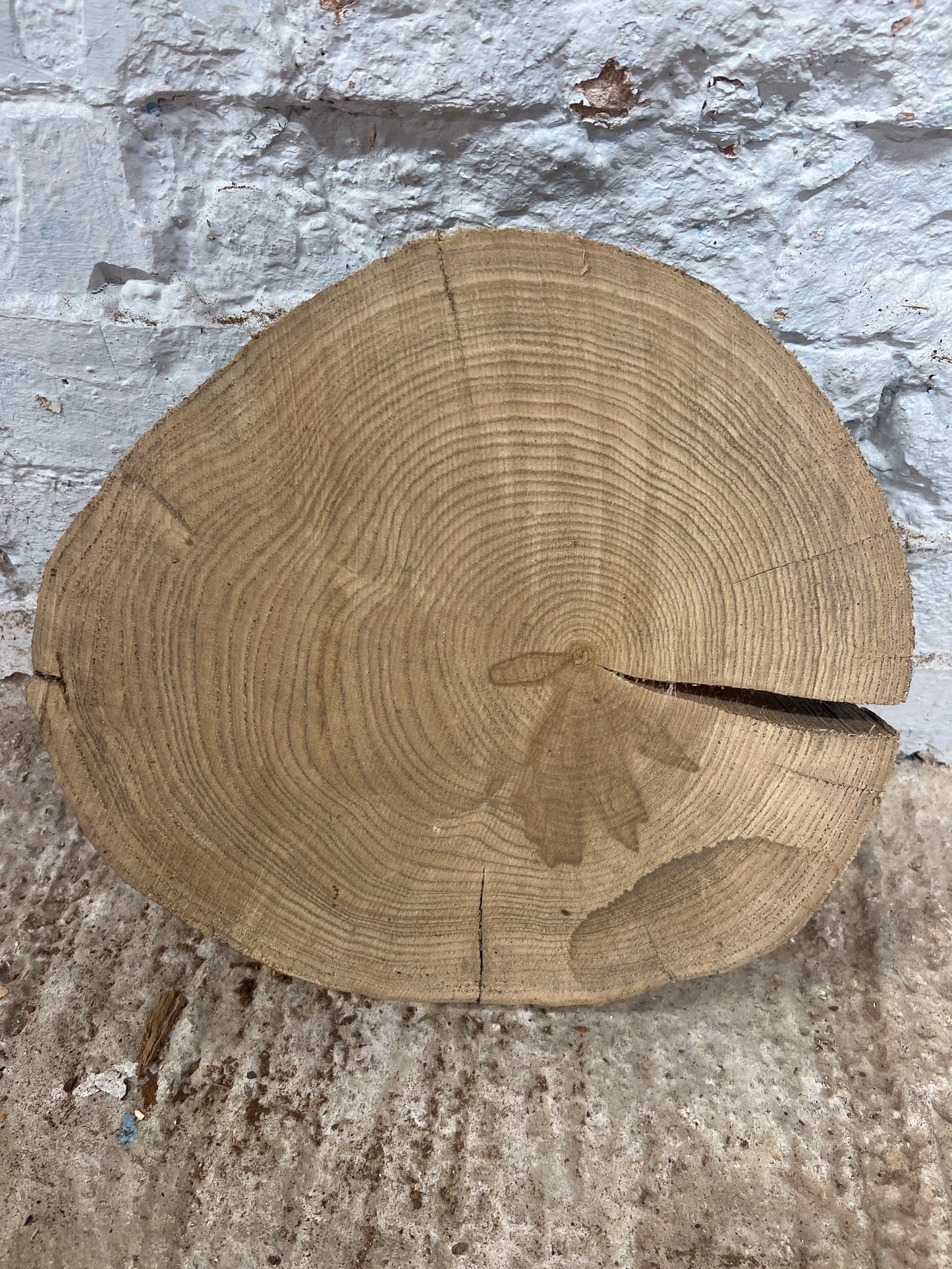 Ash No 141 - 330x300x60mm Sawn