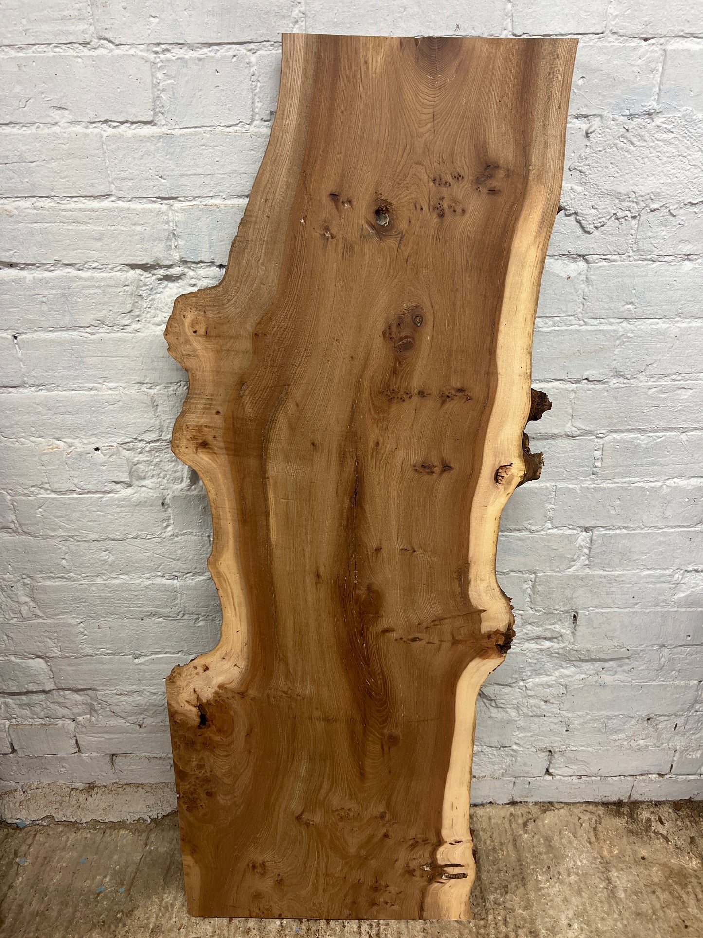 Burr Elm No 227 - 1305x310-480x43mm Planed
