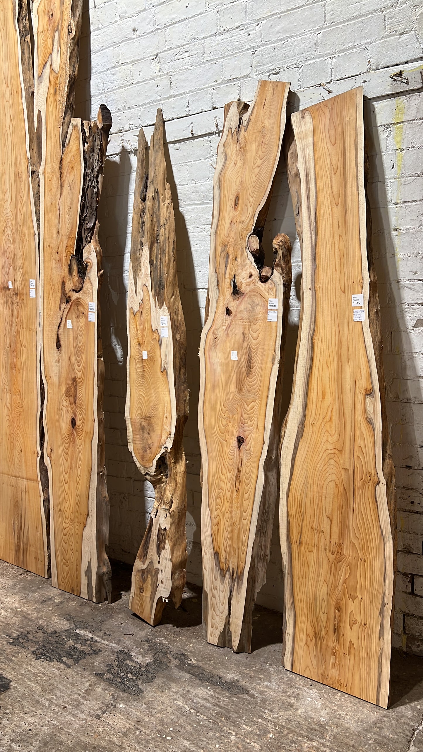 Planed Yew Boards - 2500mm+