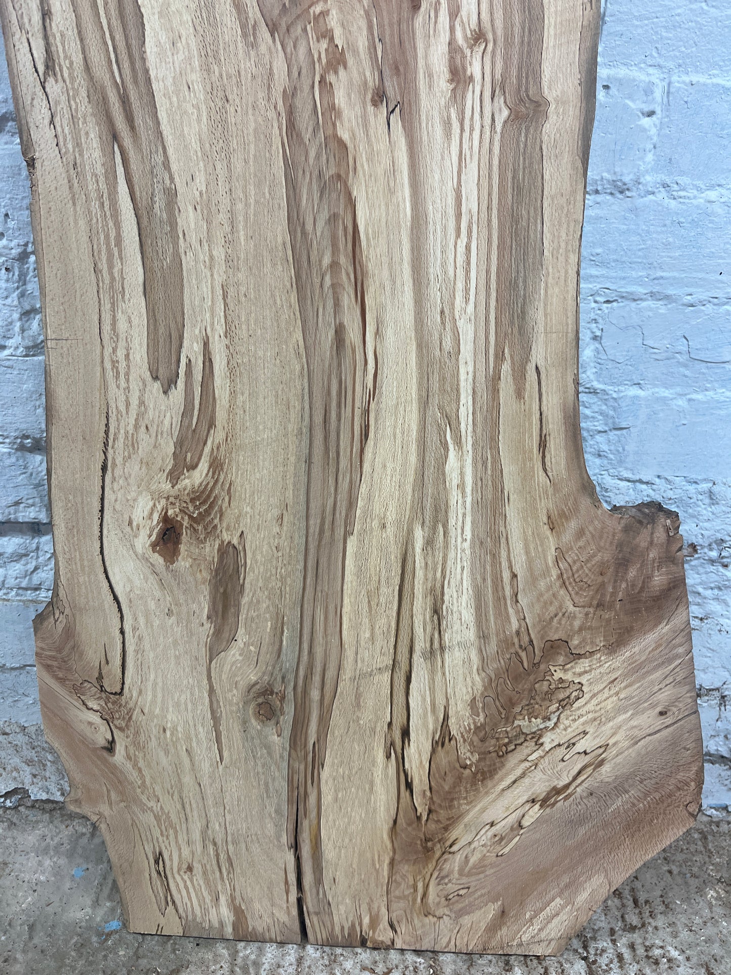 Spalted Beech No 172 - 1510x340-540x25mm