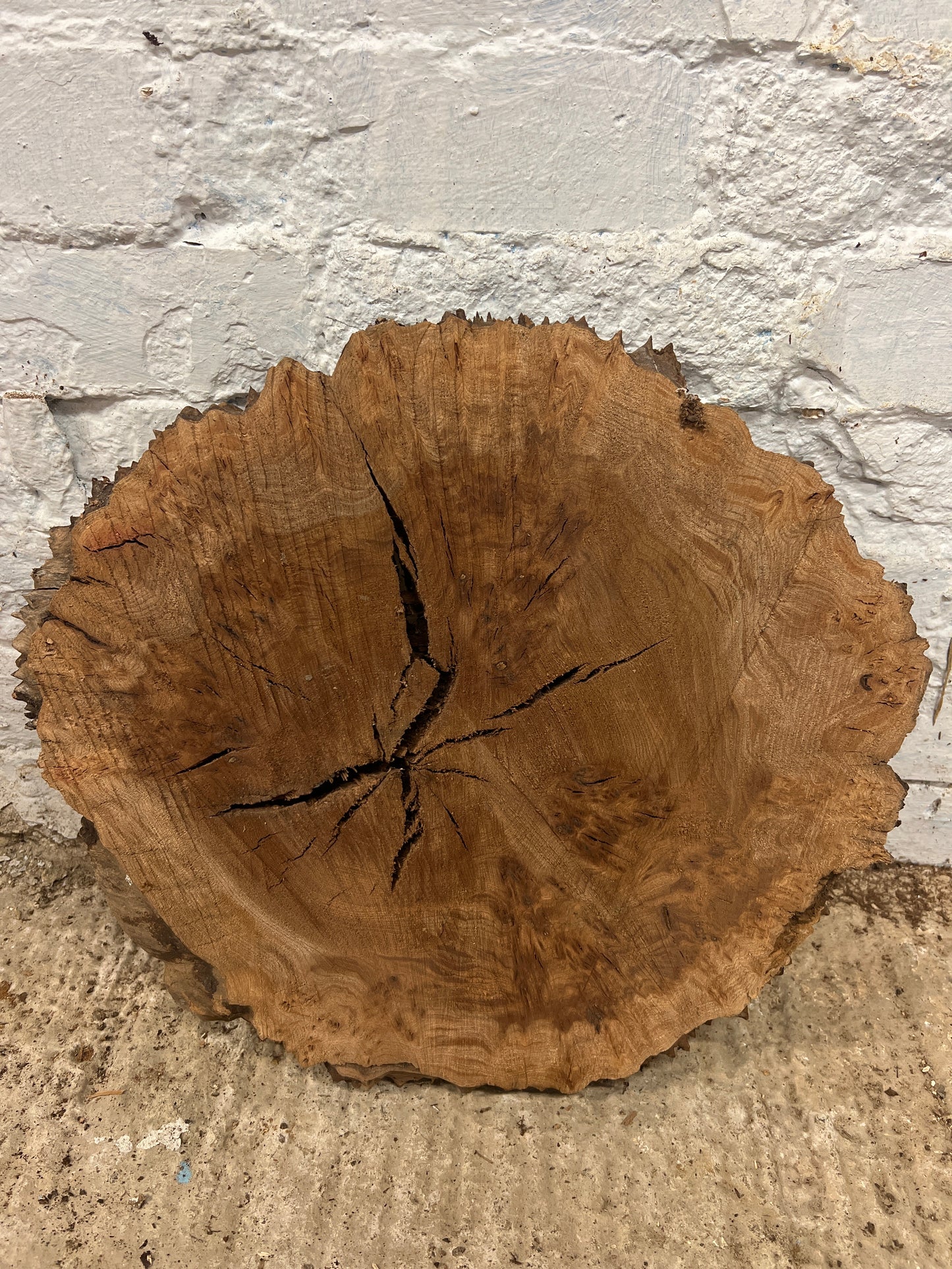 Burr Elm No 116 - 400x430x40mm Sawn
