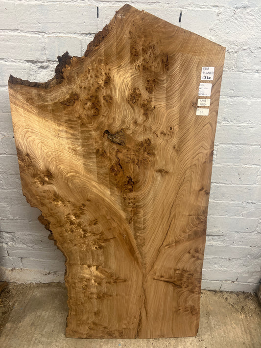 Elm No 55 - 1240x510-640x25mm Planed