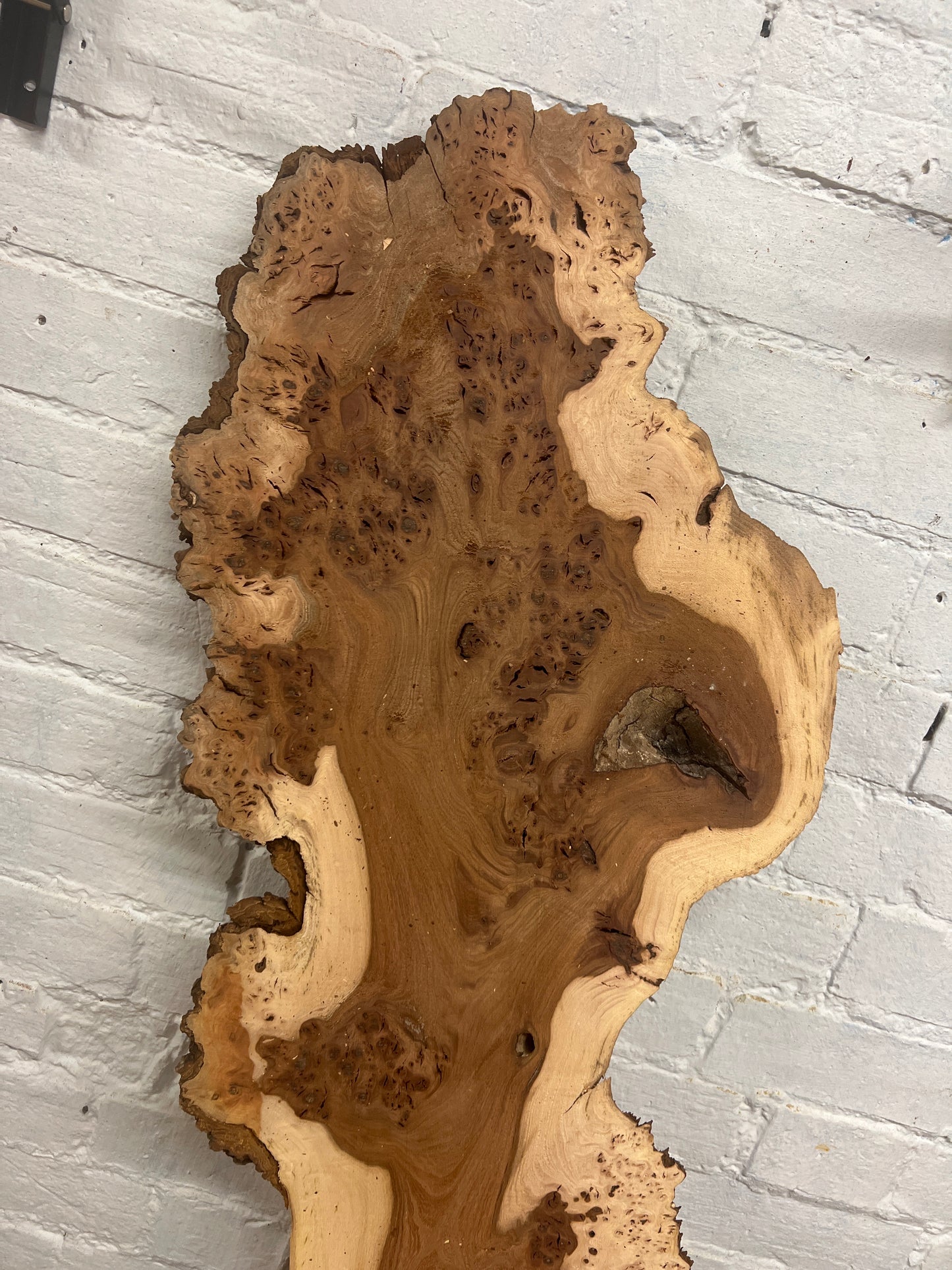 Burr Elm No 229 - 1480x210-360x30mm Planed