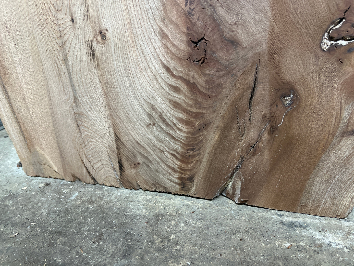Burr Elm No 33 - 830x470-630x33mm Planed