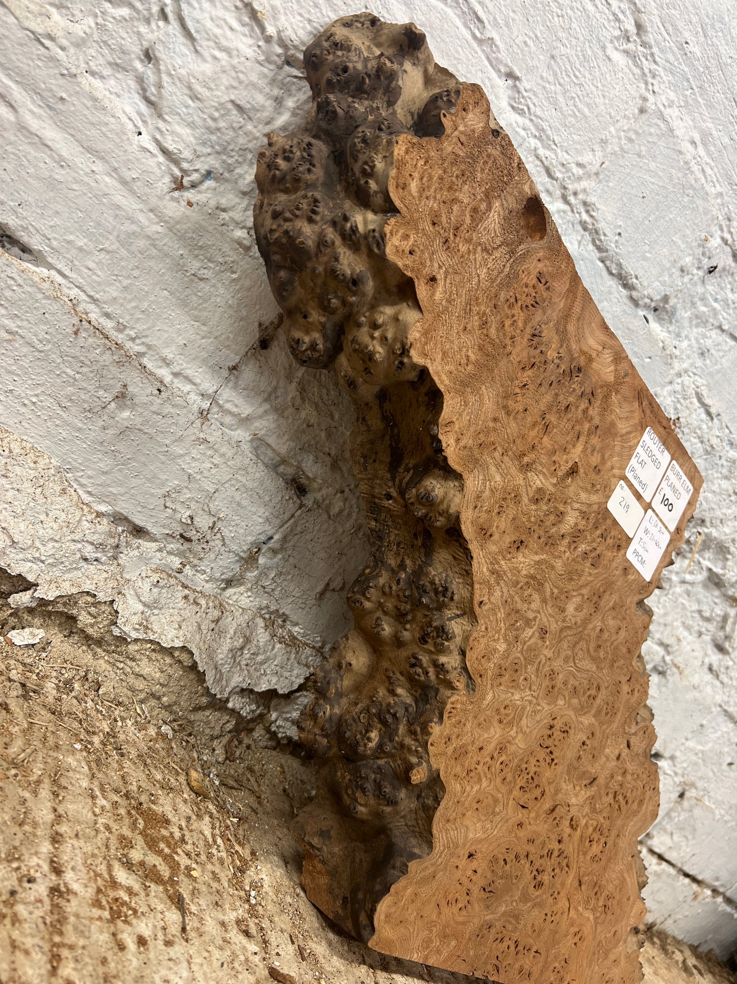 Burr Elm No 219 - 365x310-400x50mm Planed