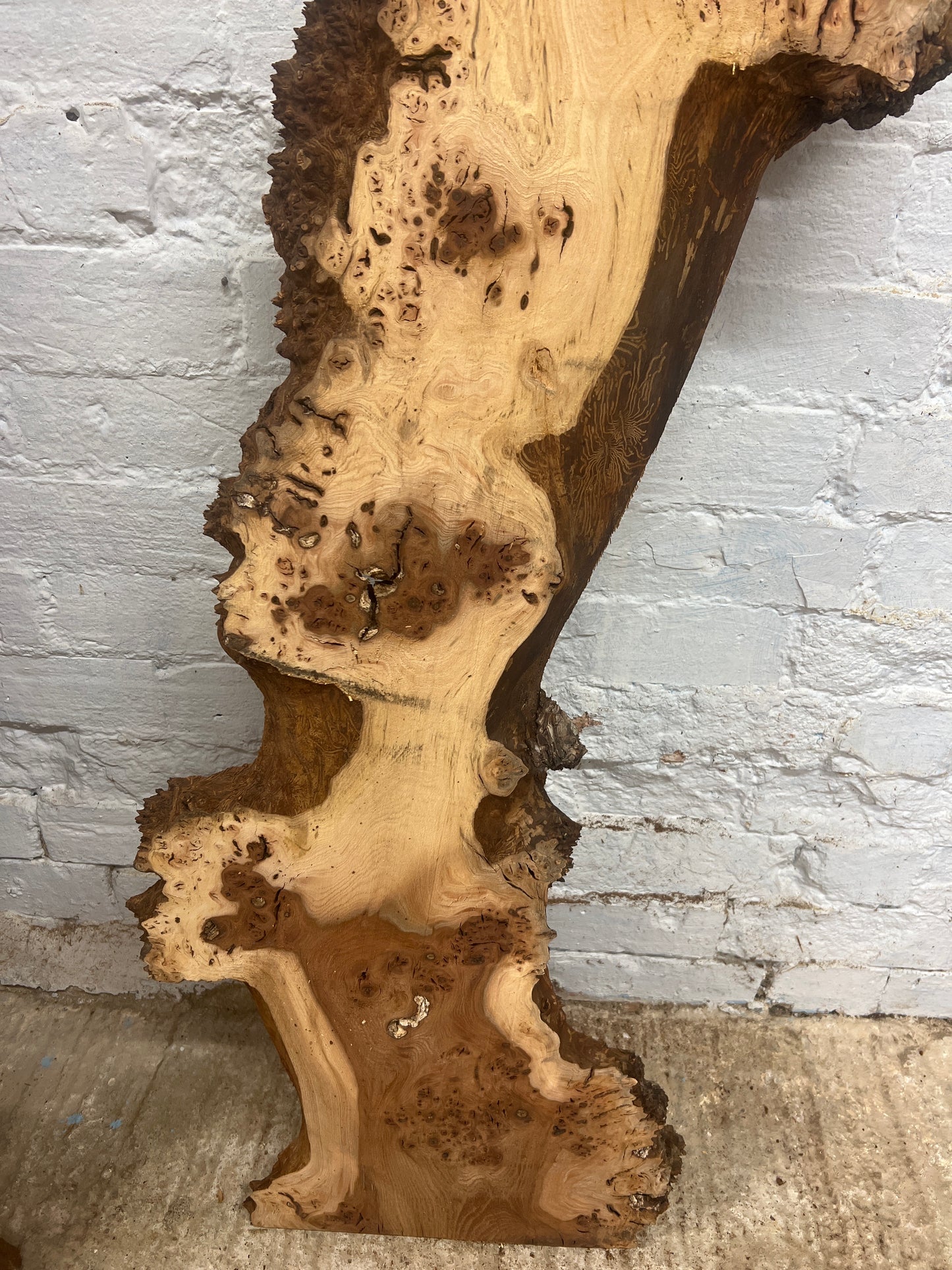 Burr Elm No 229 - 1480x210-360x30mm Planed