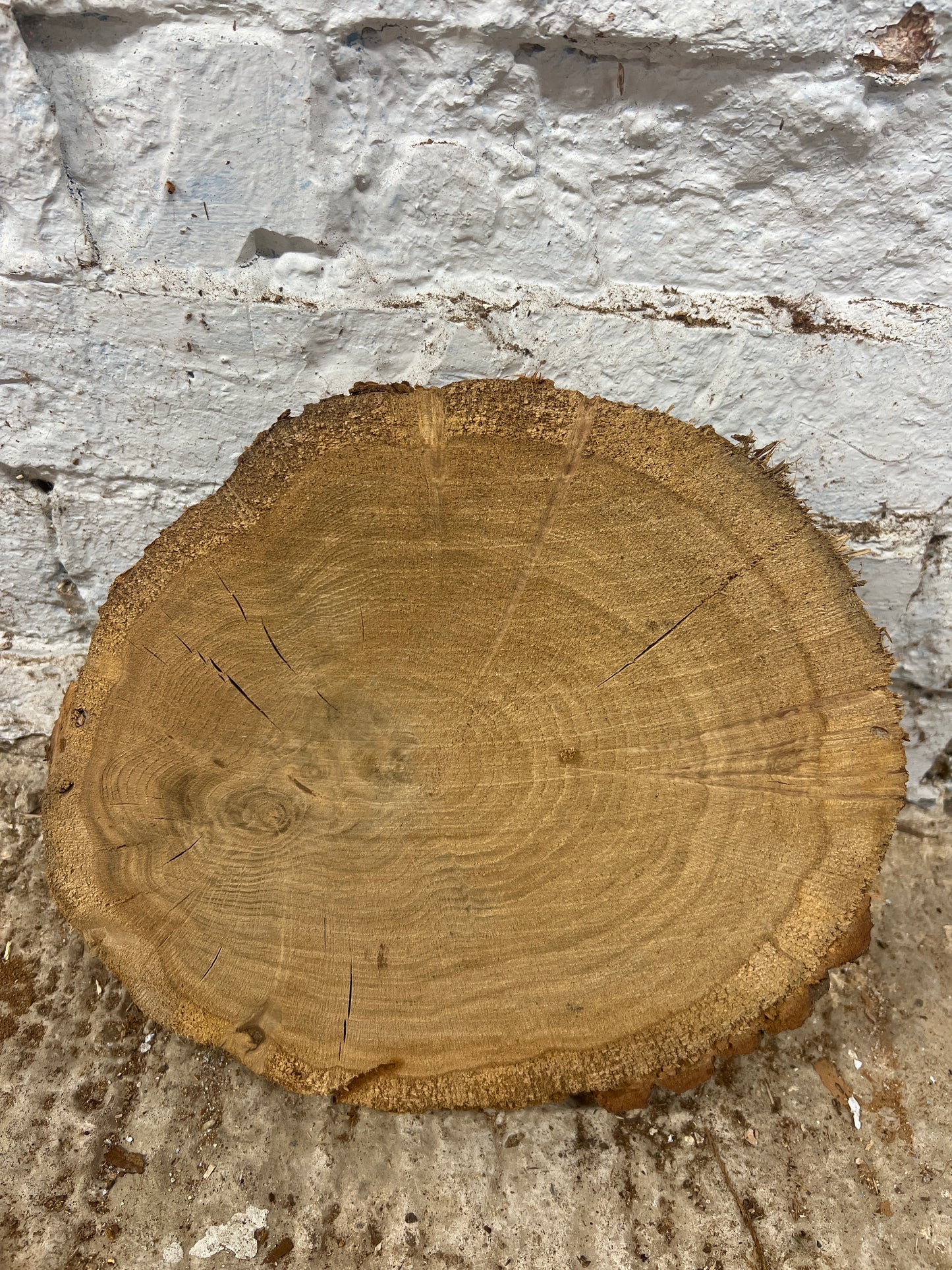 Oak No 68 - 250x300x40mm Sawn