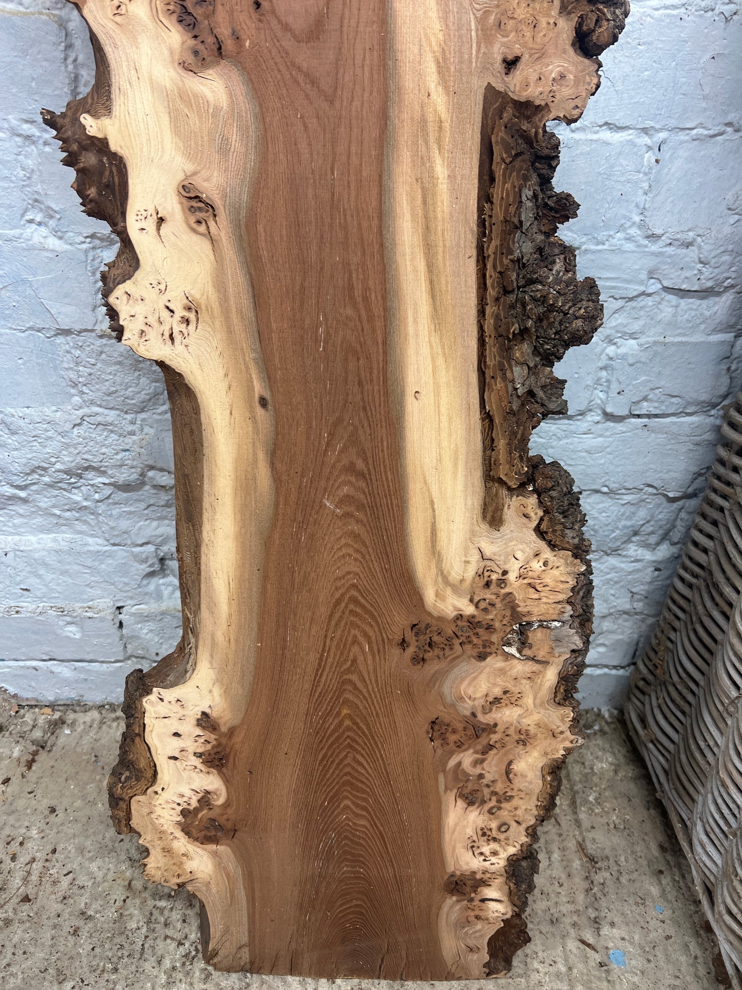 Burr Elm No 58 - 1200x240-360x33mm Planed