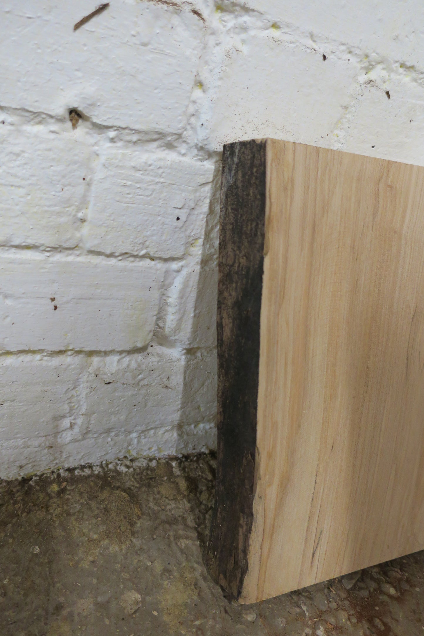 Beech No 45 - 314x300-315x45mm Planed