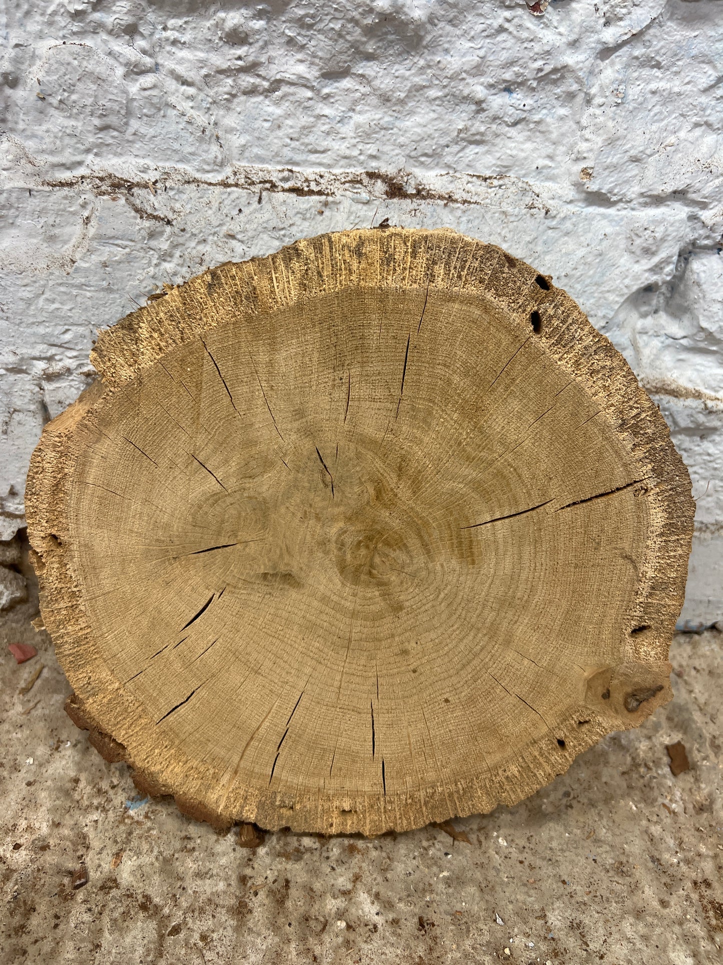 Oak No 150 - 270x250x50mm Sawn
