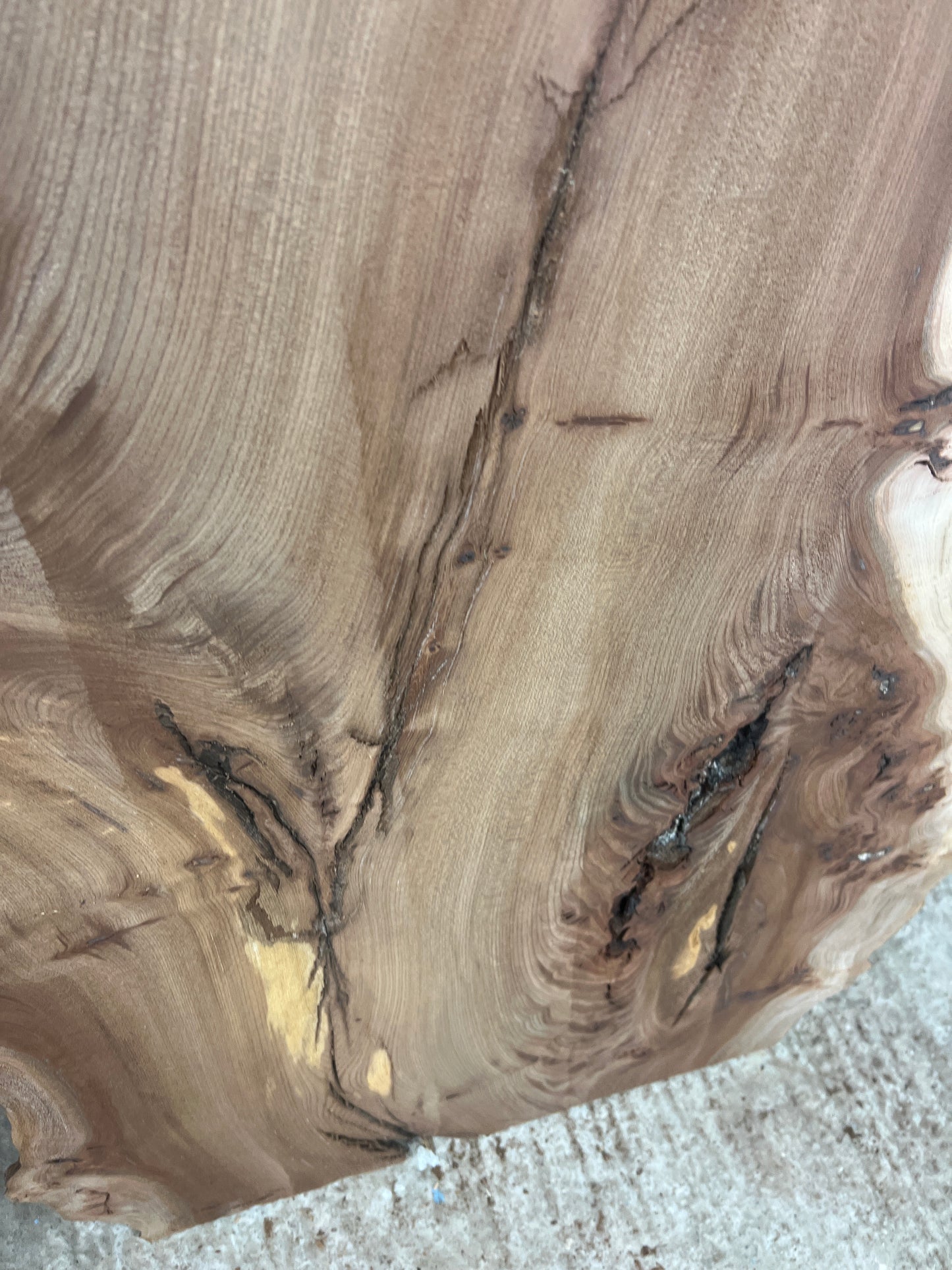 Burr Elm No 230 - 1760x340-600x30mm Planed