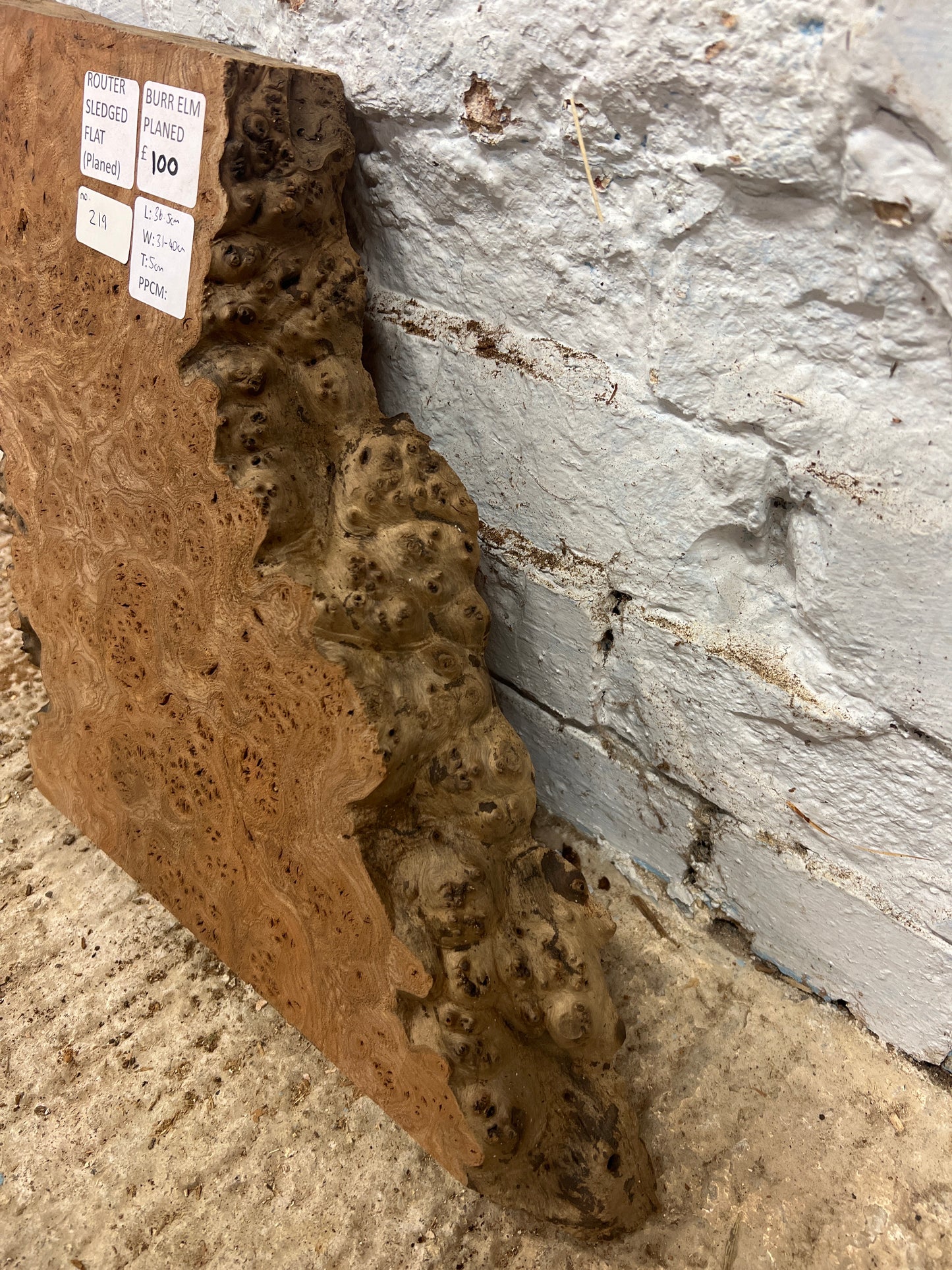 Burr Elm No 219 - 365x310-400x50mm Planed