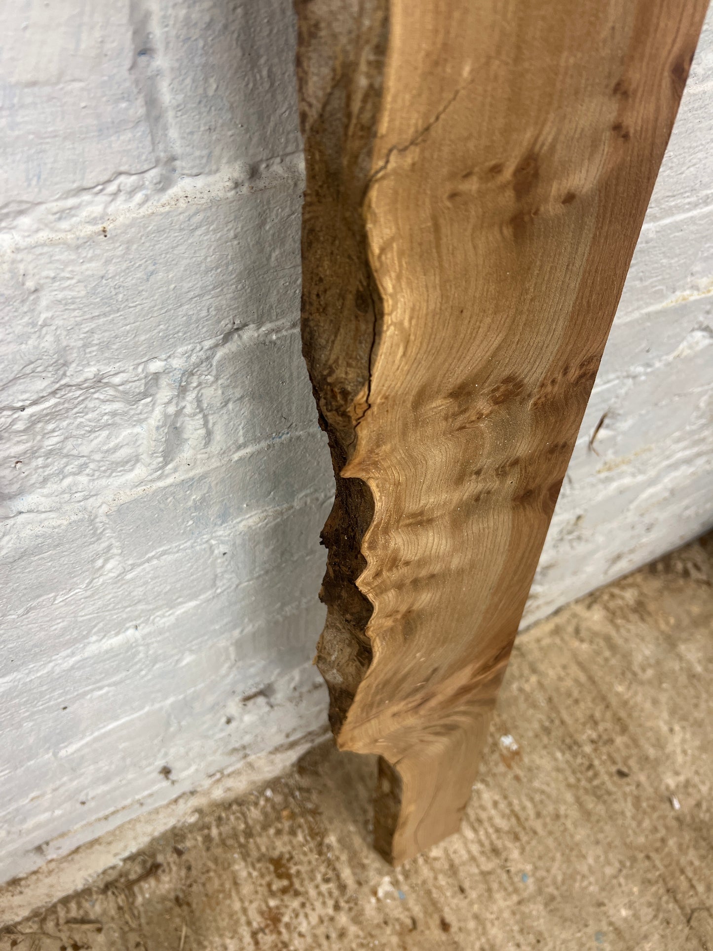 Elm No 41 - 1320x100-145x35mm Planed