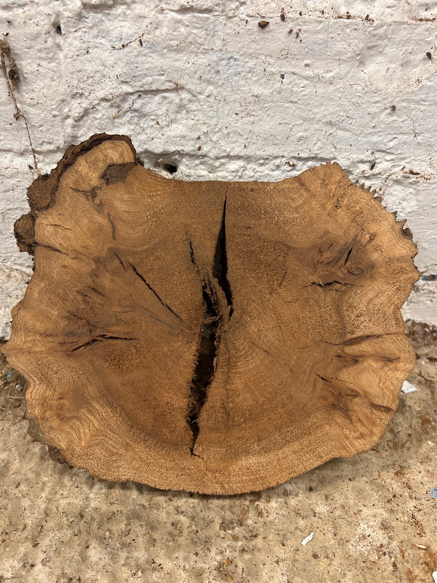 Elm No 197 - 230x175x40mm Sawn