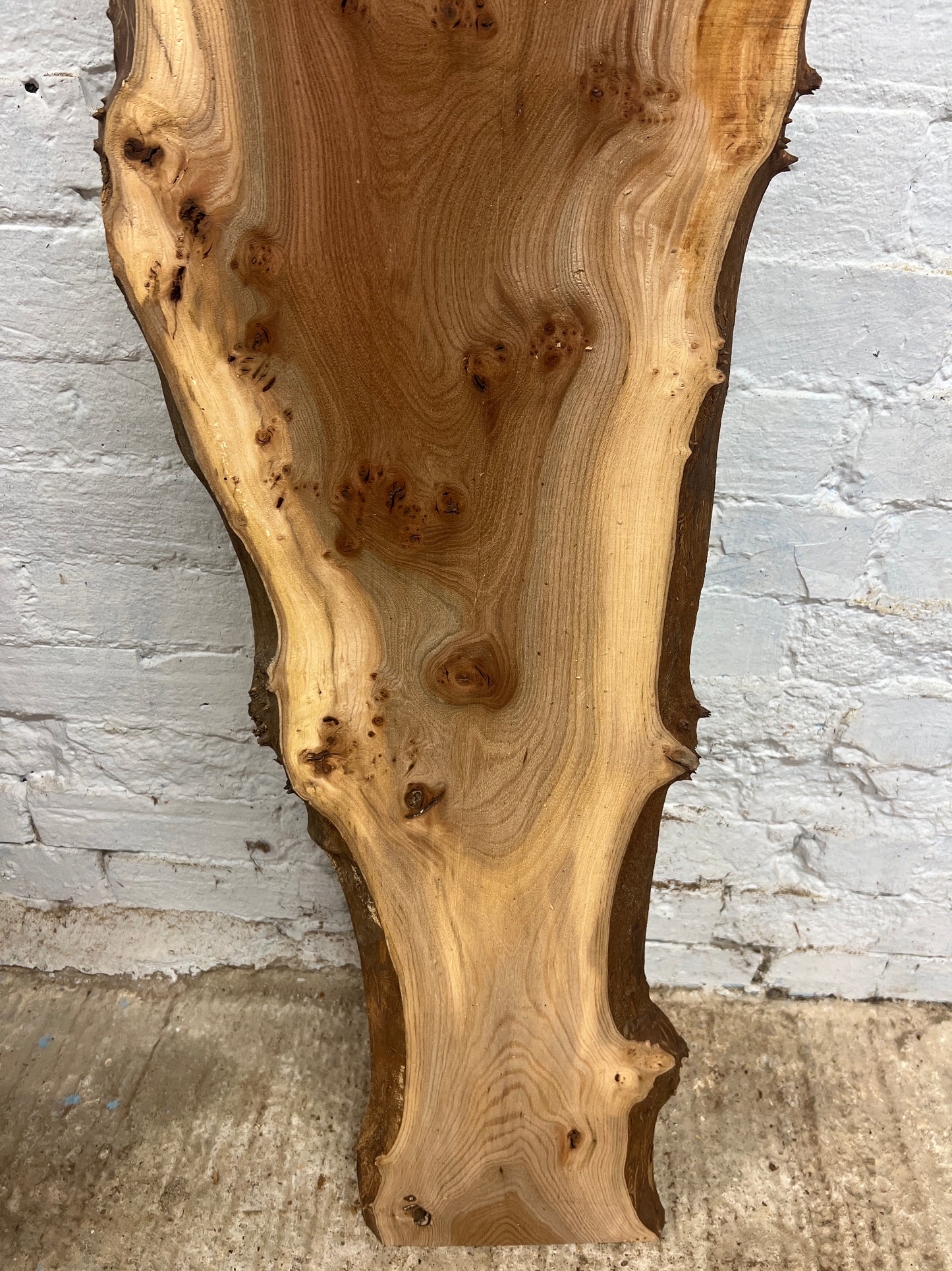 Burr Elm No 228 - 1560x160-310x25mm Planed