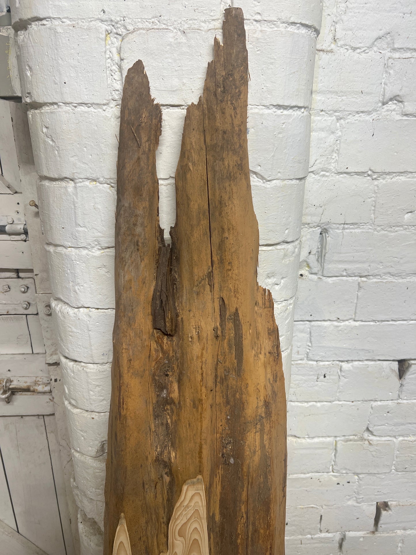 Yew No 256 - 1480x200-330x50mm Planed