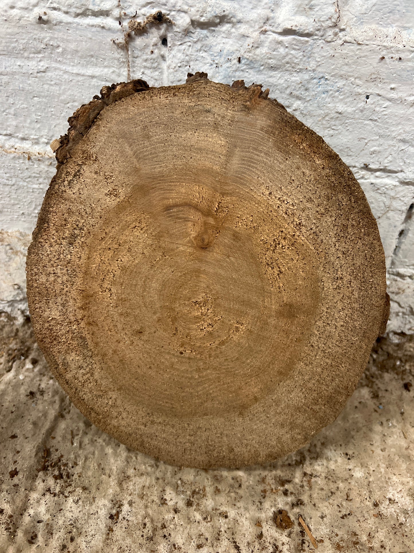 Elm No 45 - 230x220x40mm Sawn